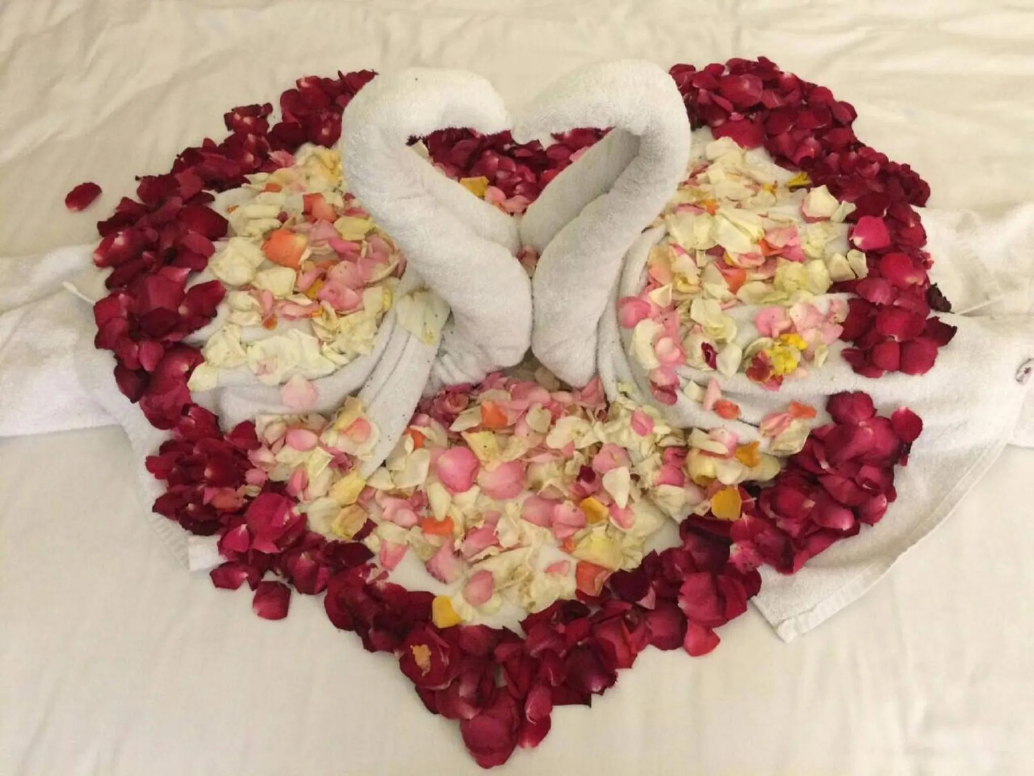 Decorative detail in Euphoria Hotel