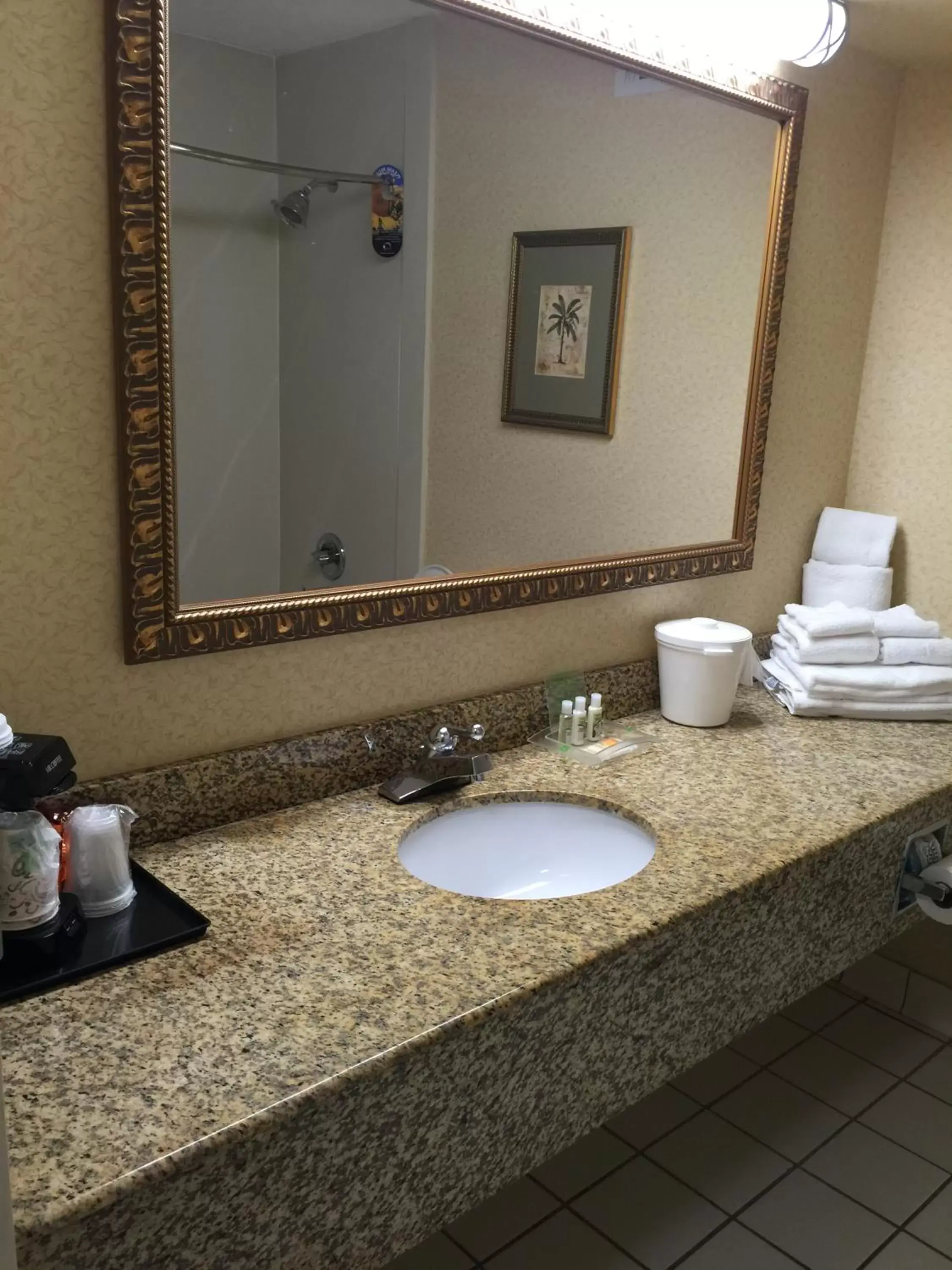 King Room with Bath Tub - Disability Access/Non-Smoking in Holiday Inn Lumberton, an IHG Hotel King Room with Bath Tub - Disability Access/Non-Smoking in Holiday Inn Lumberton, an IHG Hotel