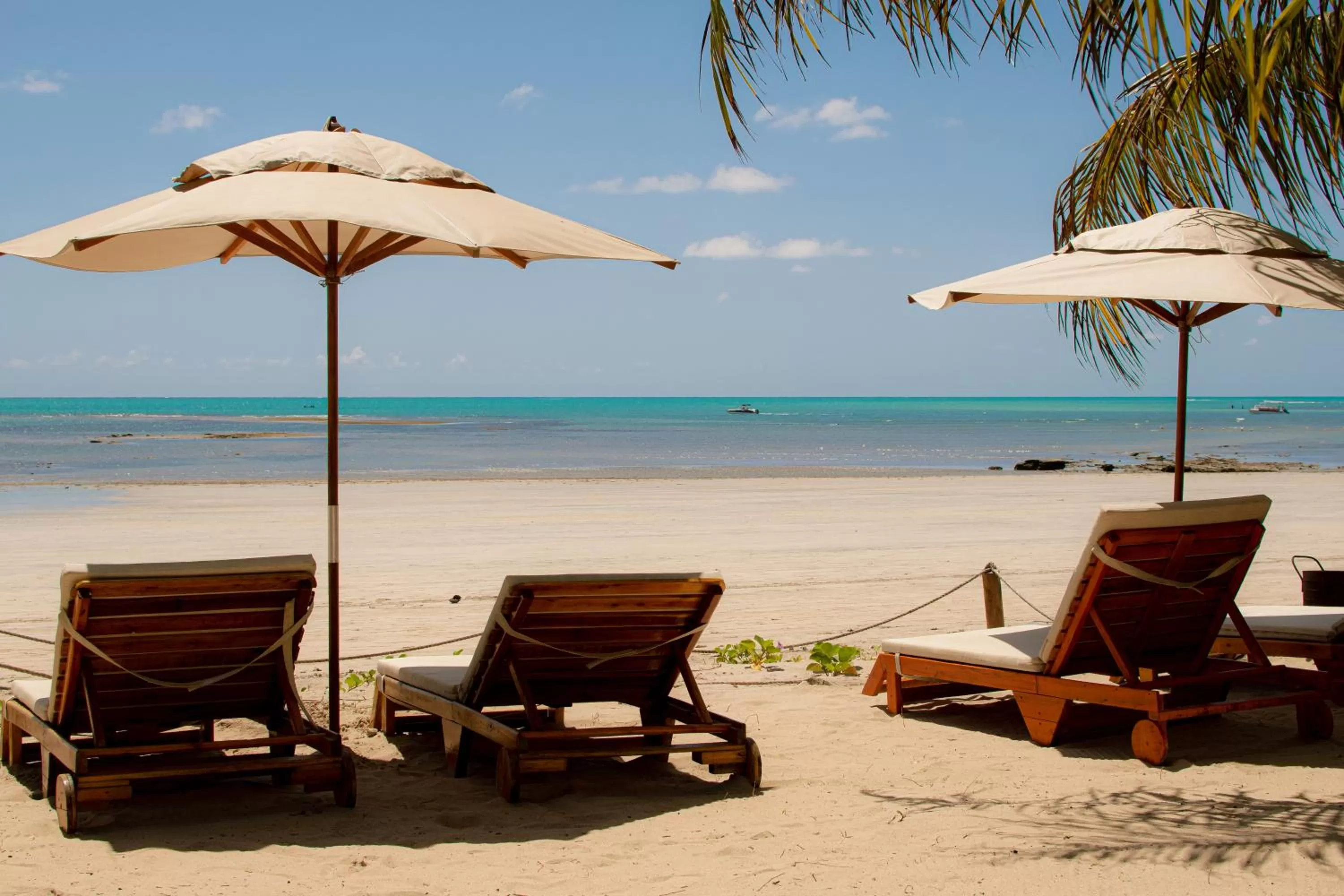 Restaurant/places to eat, Beach in Pousada Enero