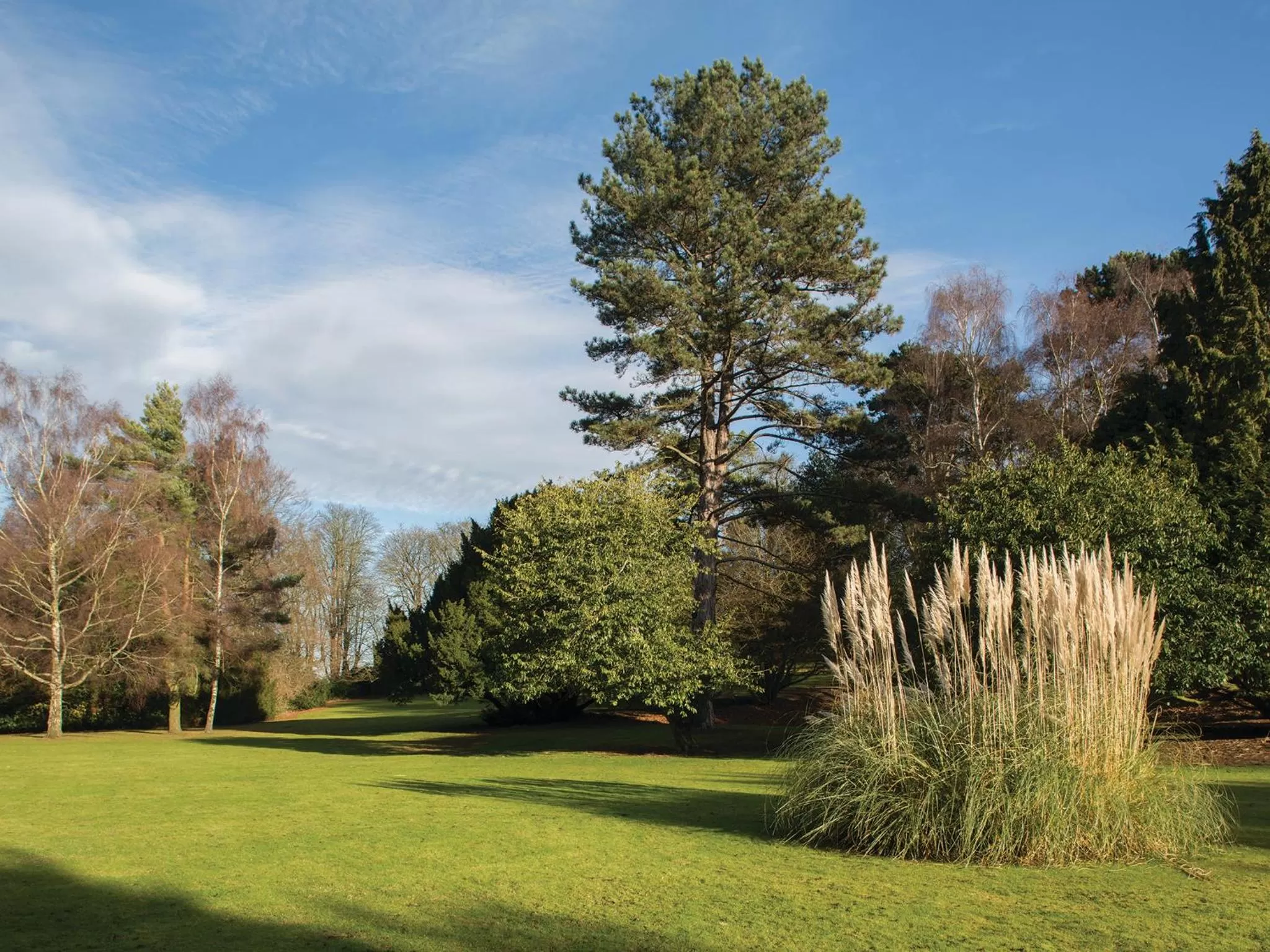 Day in Brandshatch Place Hotel & Spa