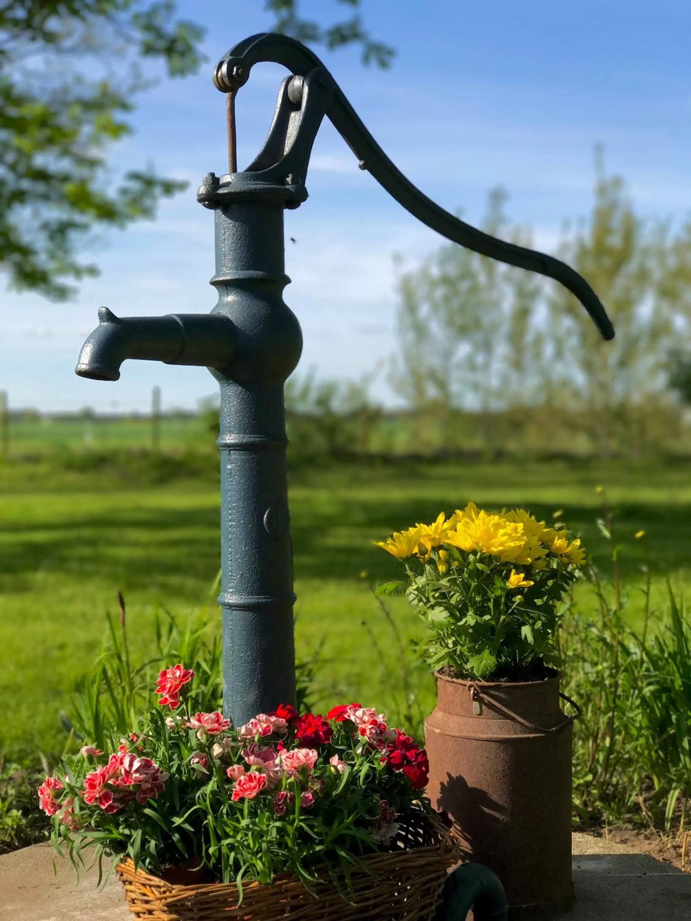 Garden in Tryde 1303 B&B på Österlen