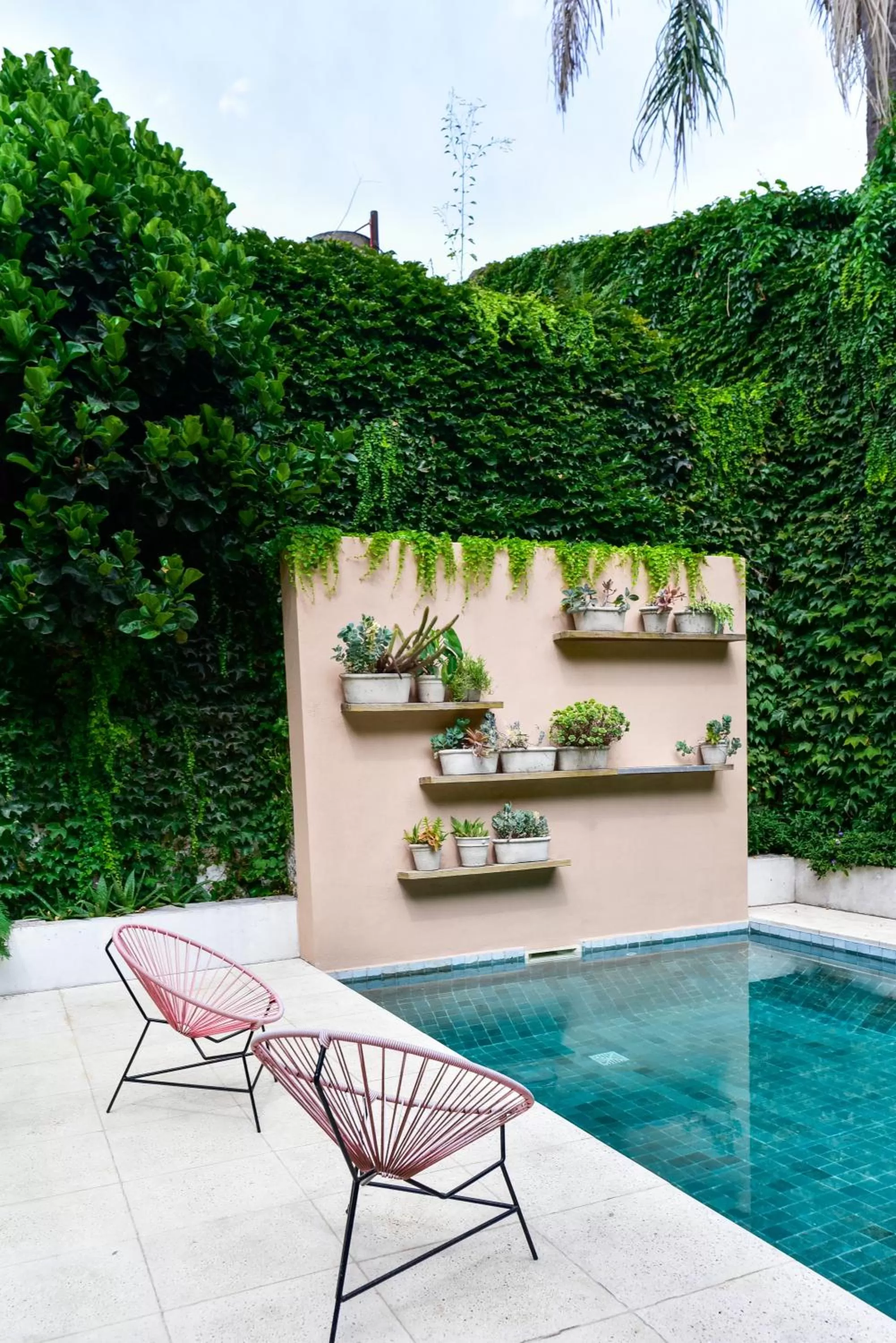 Swimming Pool in Casa Caravan - Plant Based Concept House