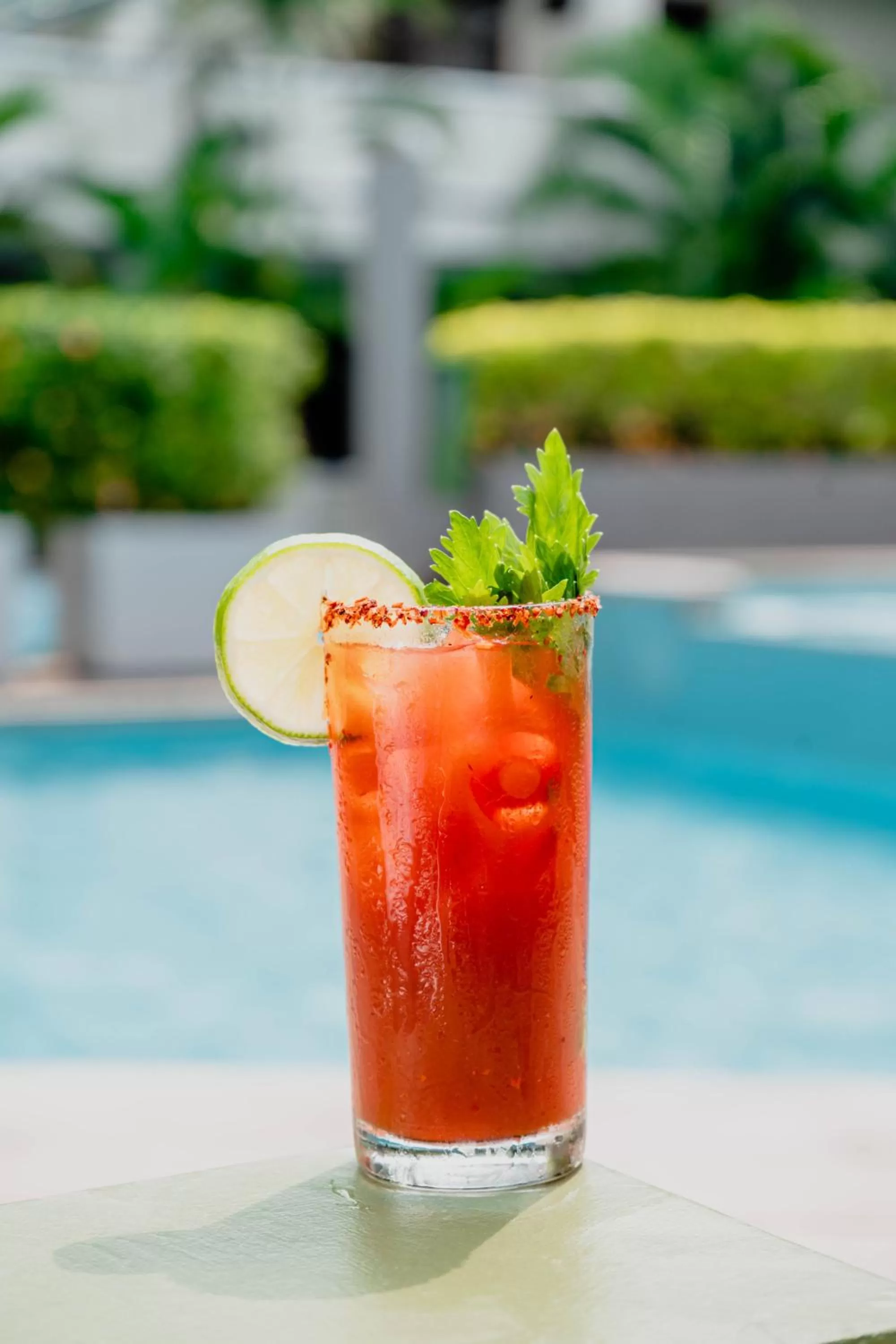 Drinks in Hotel Roca Sunzal