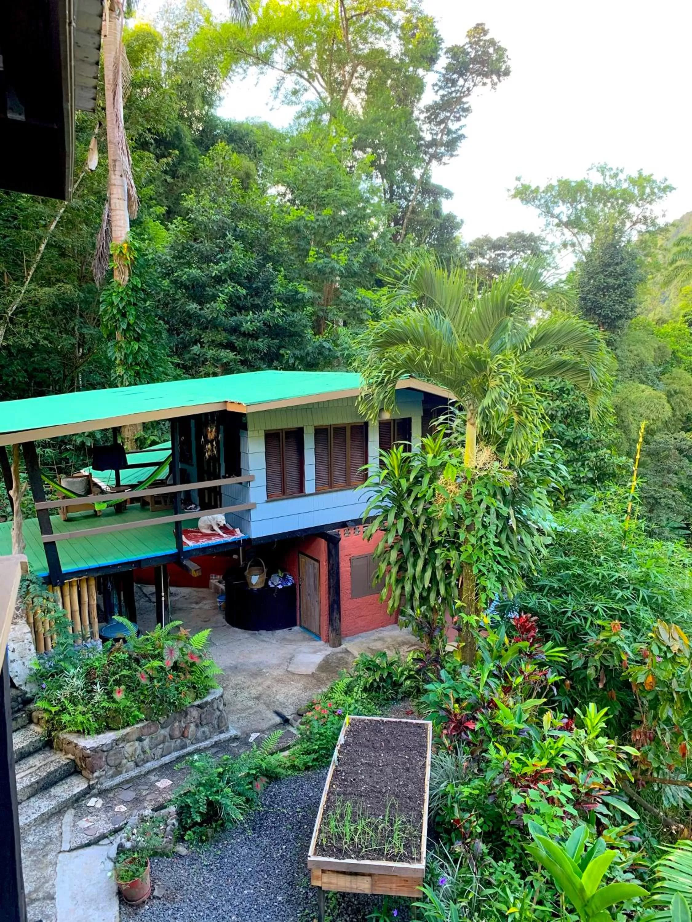 Garden view, Property Building in Cocoa Cottage