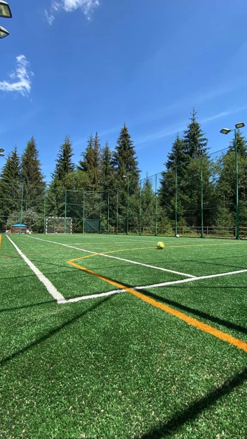 Sports, Other Activities in Mountain-Rest Pension