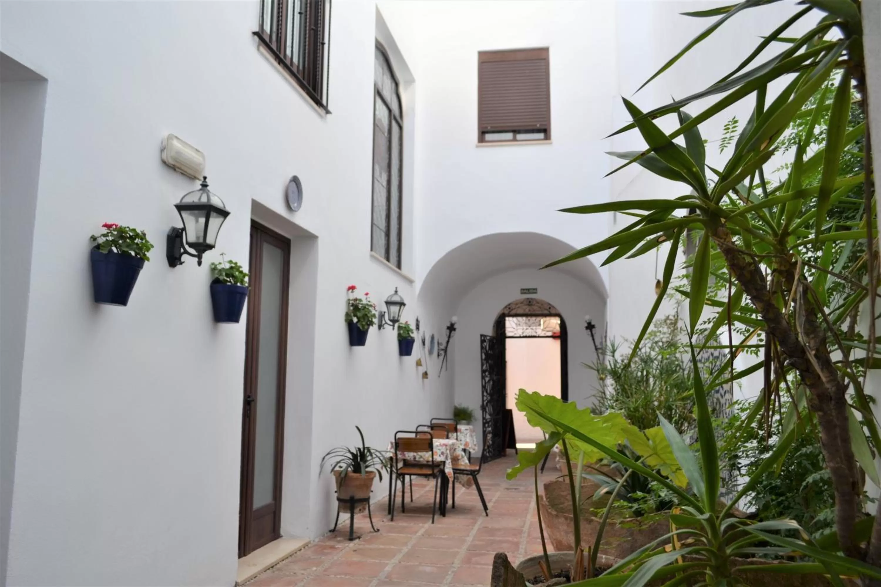 Patio in Hotel Marisa
