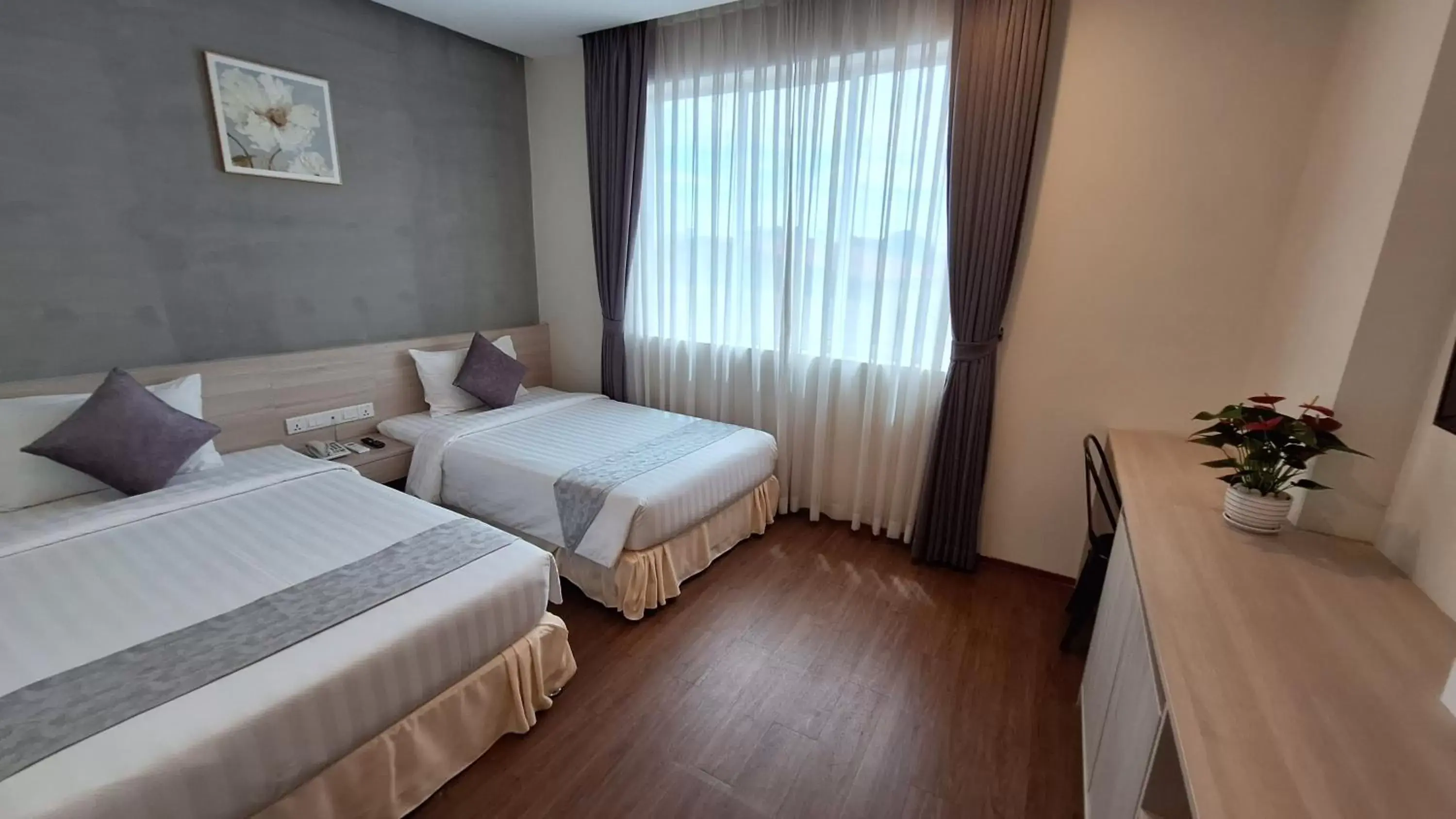 Superior Twin Room - single occupancy in Joli Hotel Superior Twin Room - single occupancy in Joli Hotel