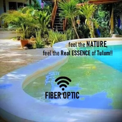 Swimming Pool in Zamunda Garden View