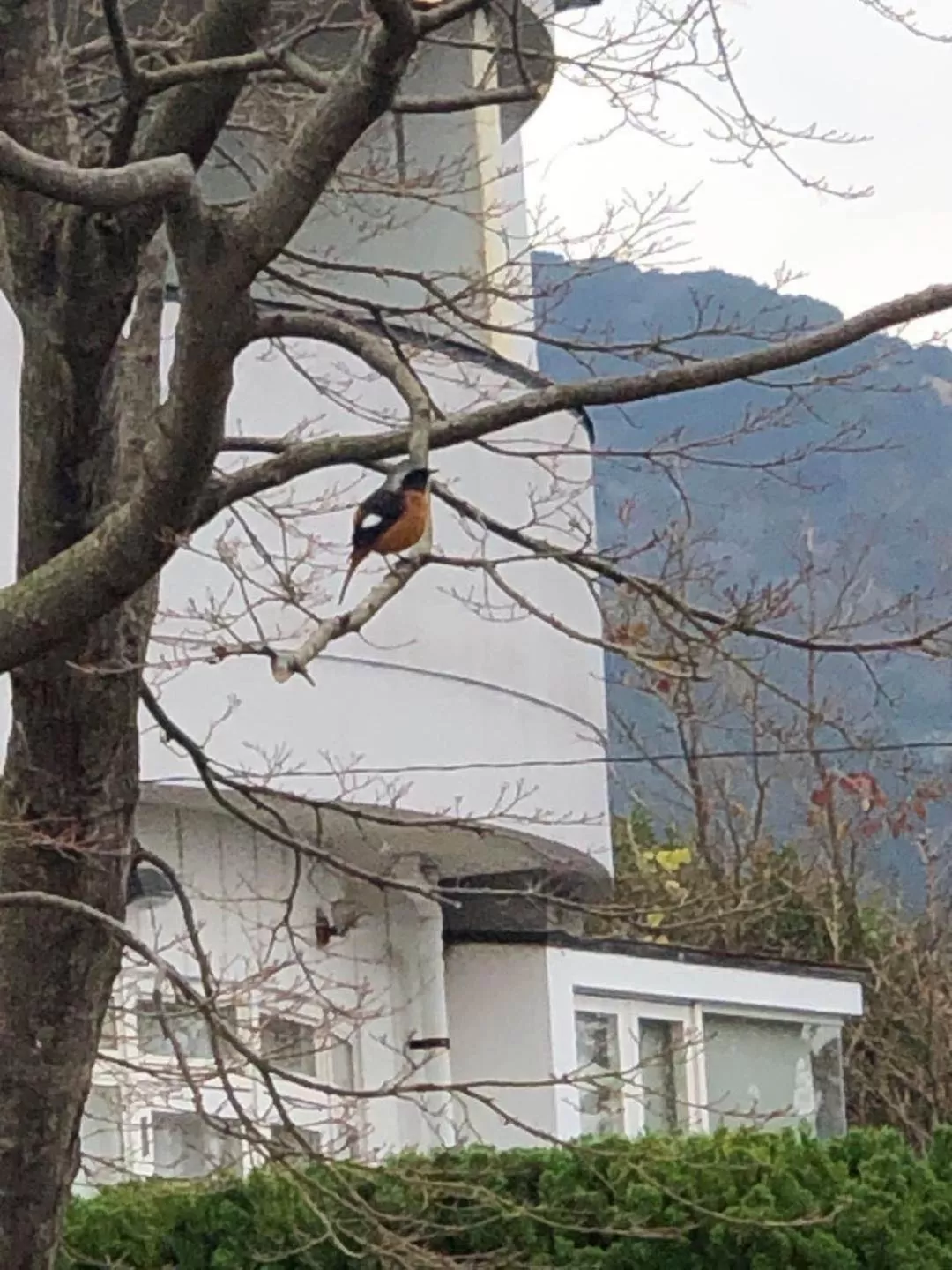 Property Building in Hoshi no Sato