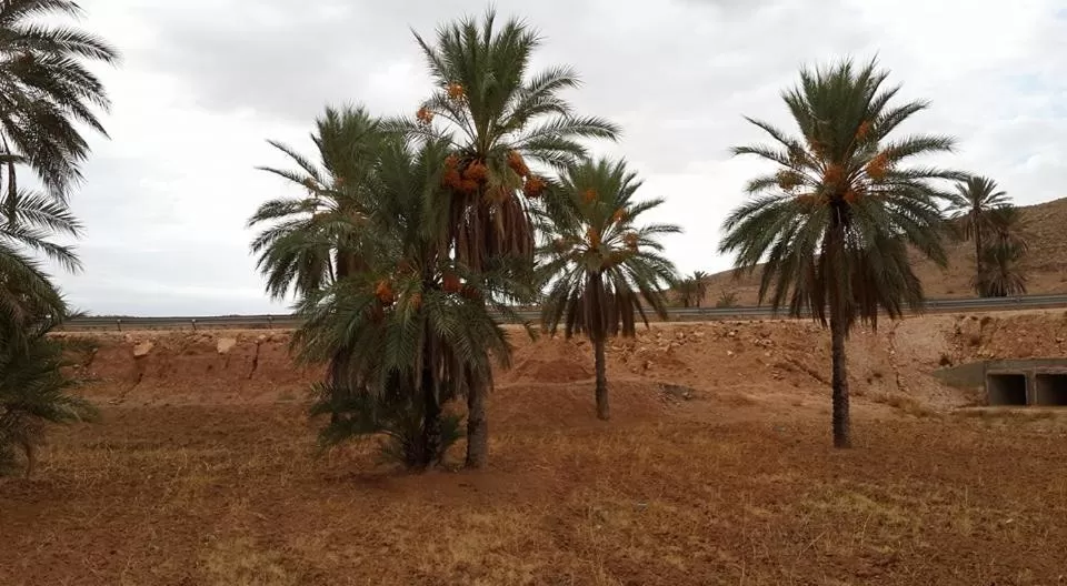 Location in Au Trait d'Union Tijma Matmata