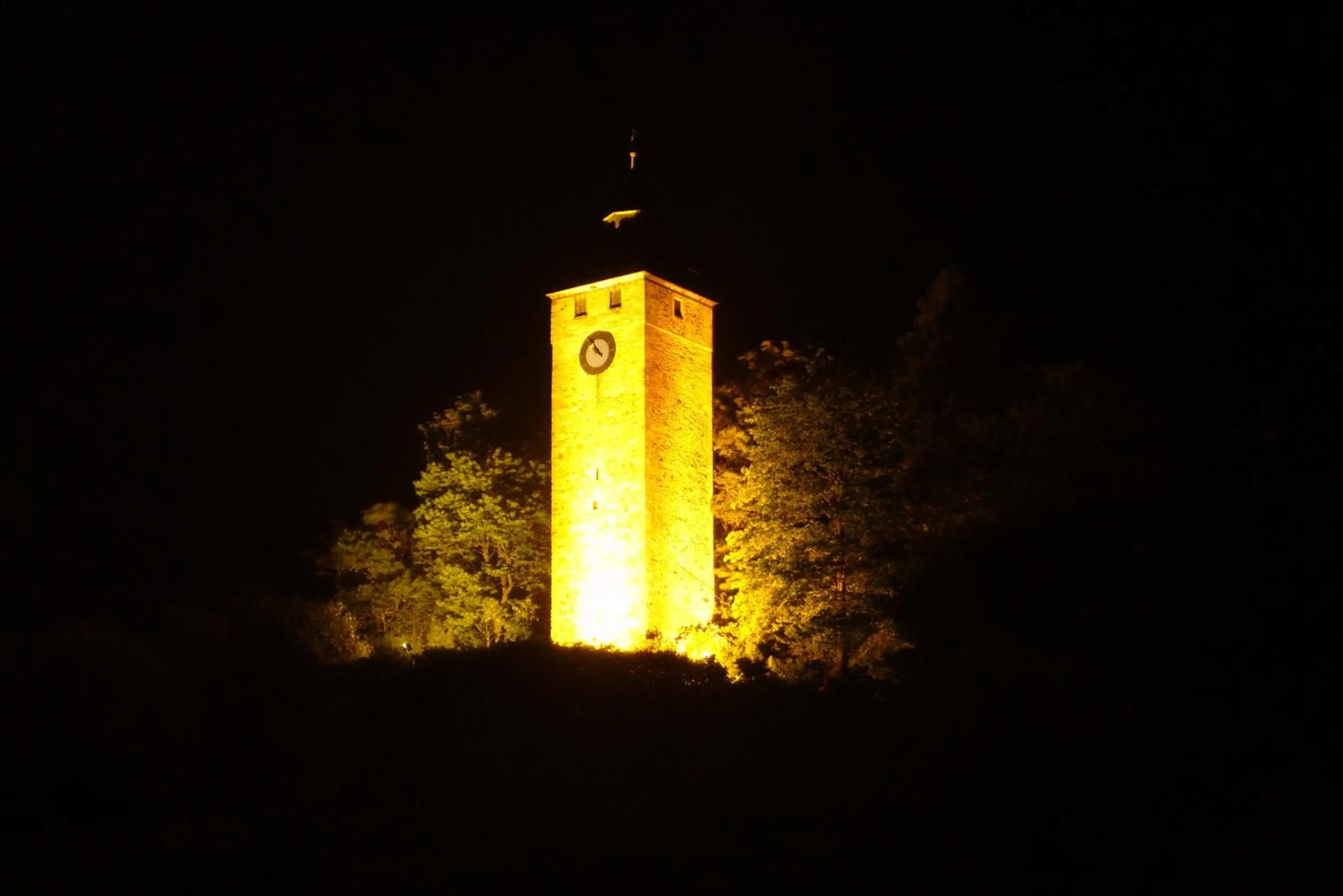 Area and facilities in Hotel Heissinger