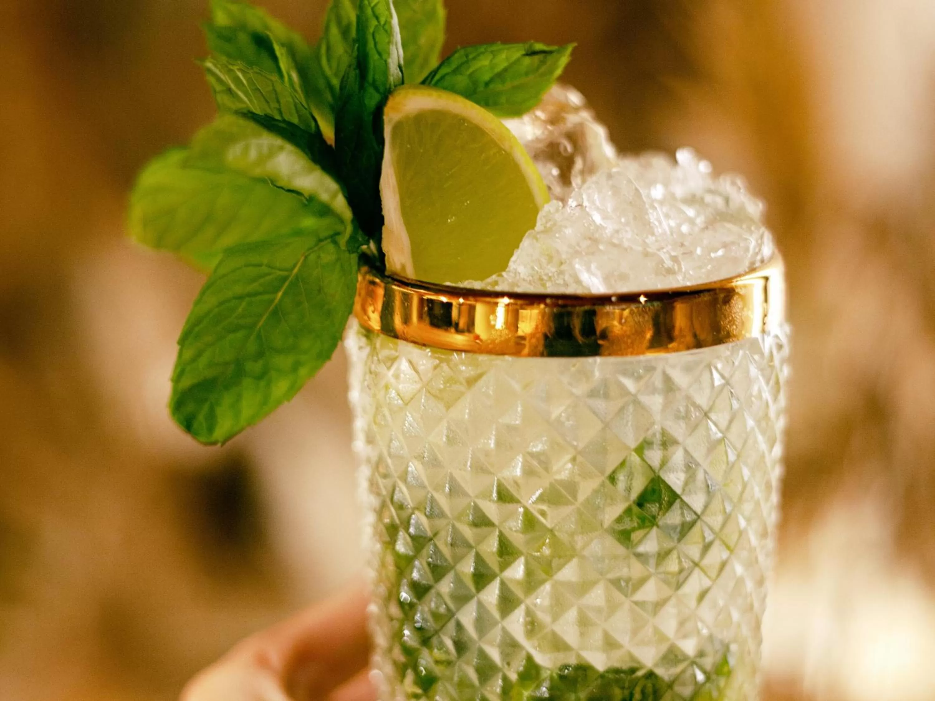 Lounge or bar in Wren Urban Nest