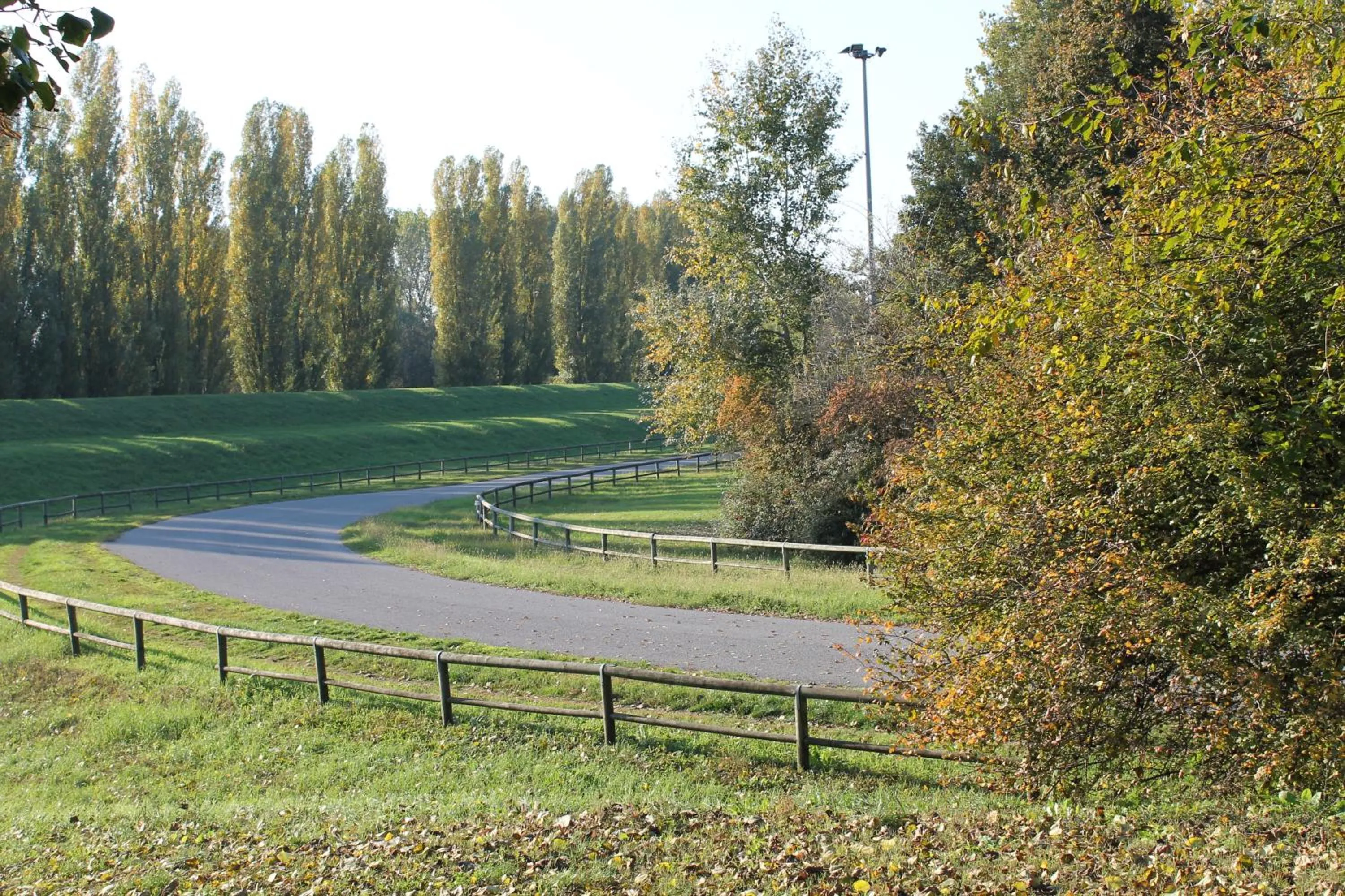 Cycling in Hotel Cremona Viale