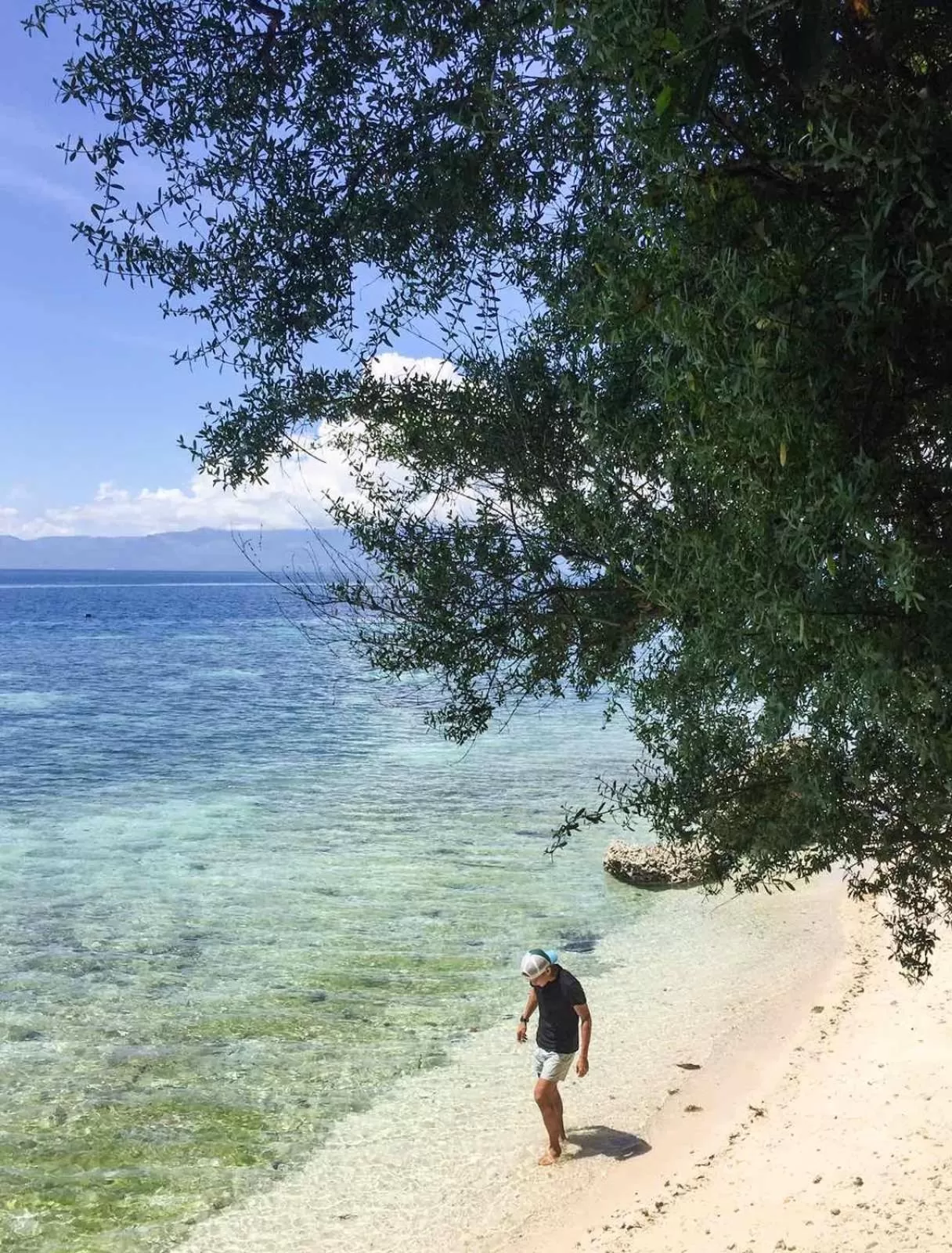 Beach in Pescador View - Beachfront ,Extensions & nearby the Ocean Hostels & Restaurant Moalboal