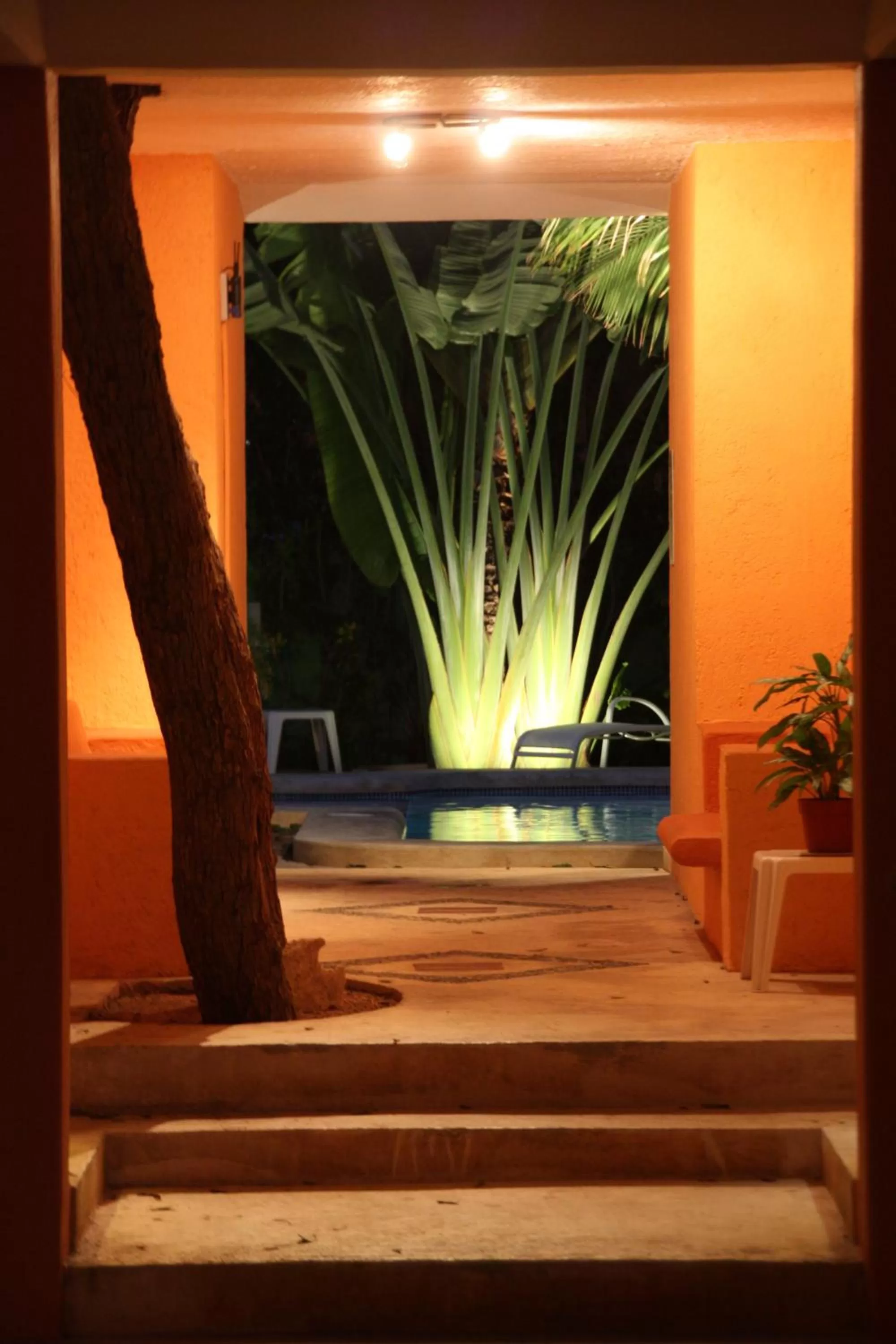 Swimming pool in Hotel LunaSol