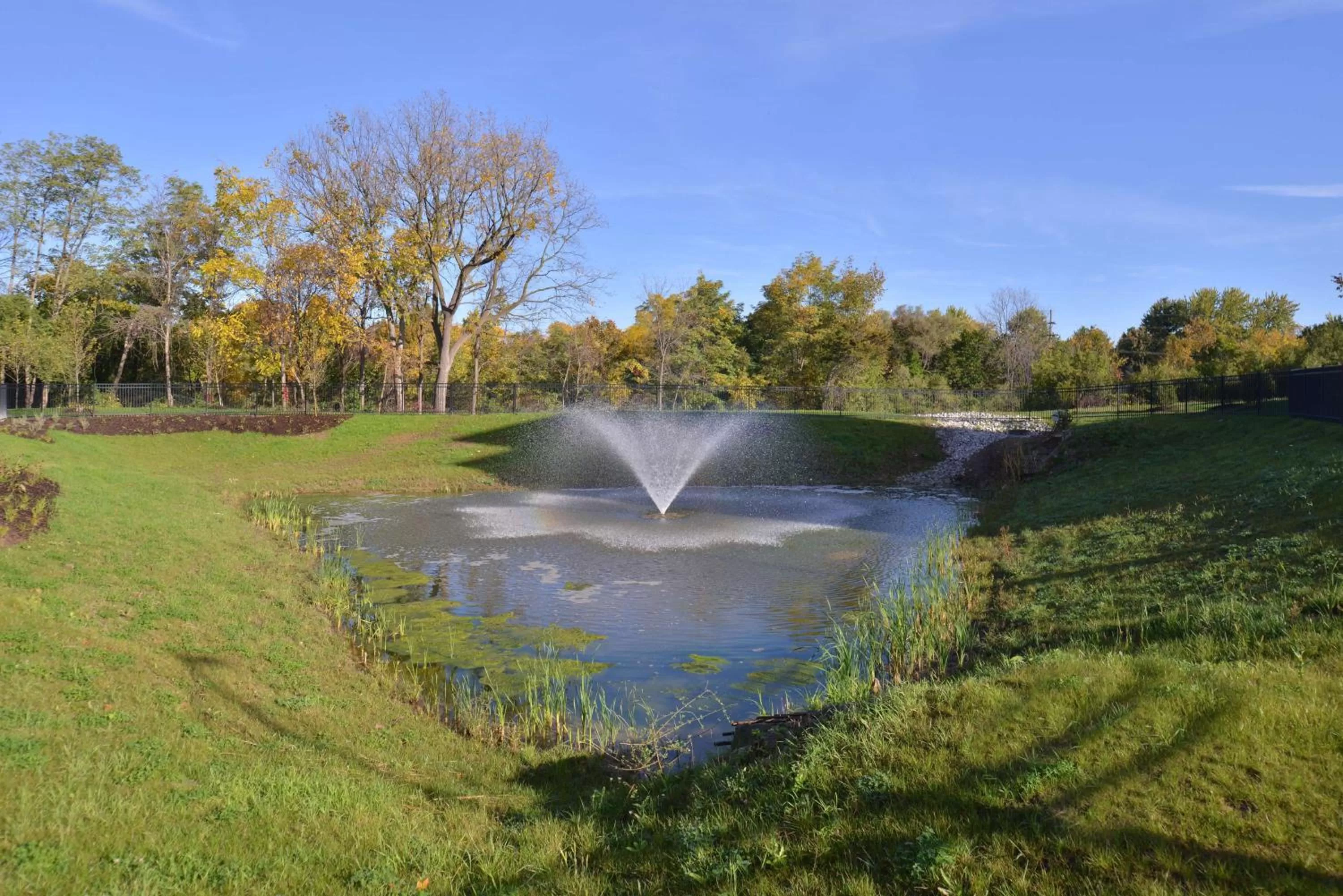 Property building in Hampton Inn & Suites Ann Arbor West