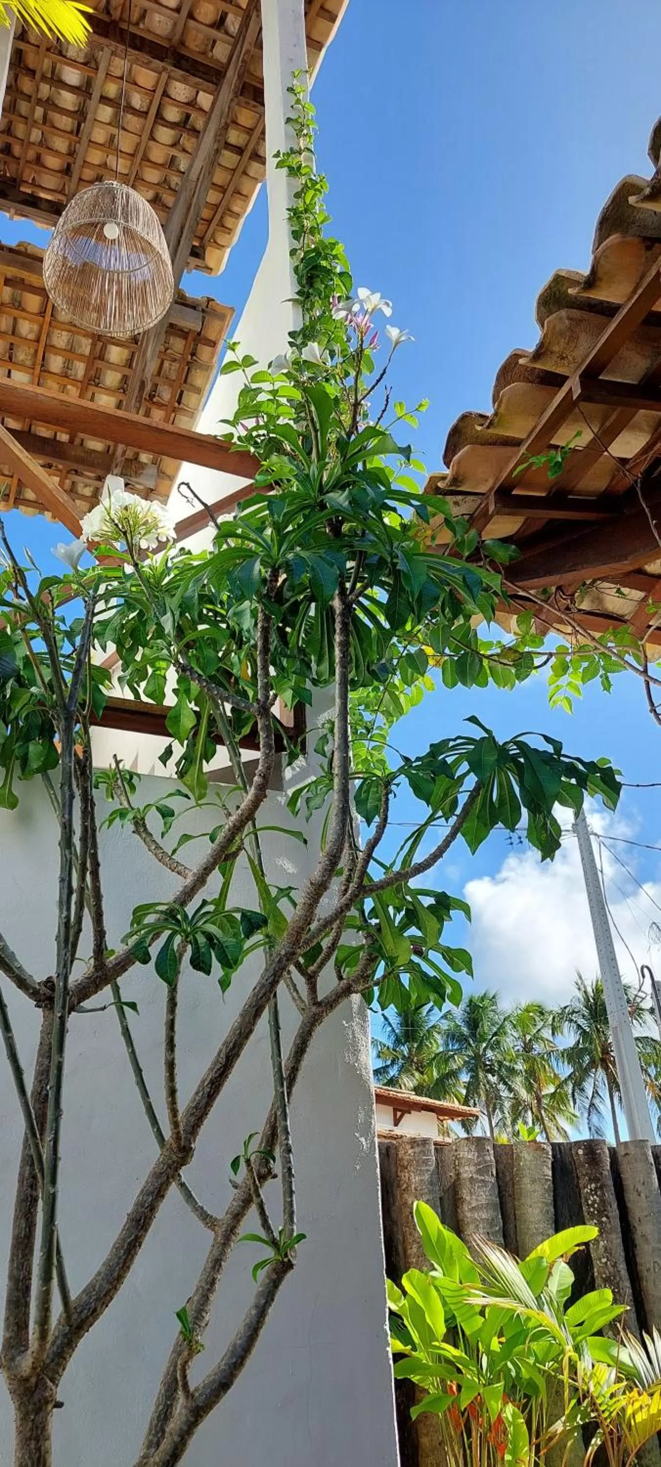 Day in Arataba Hotel Boutique e Bistrô - 150 mts do mar