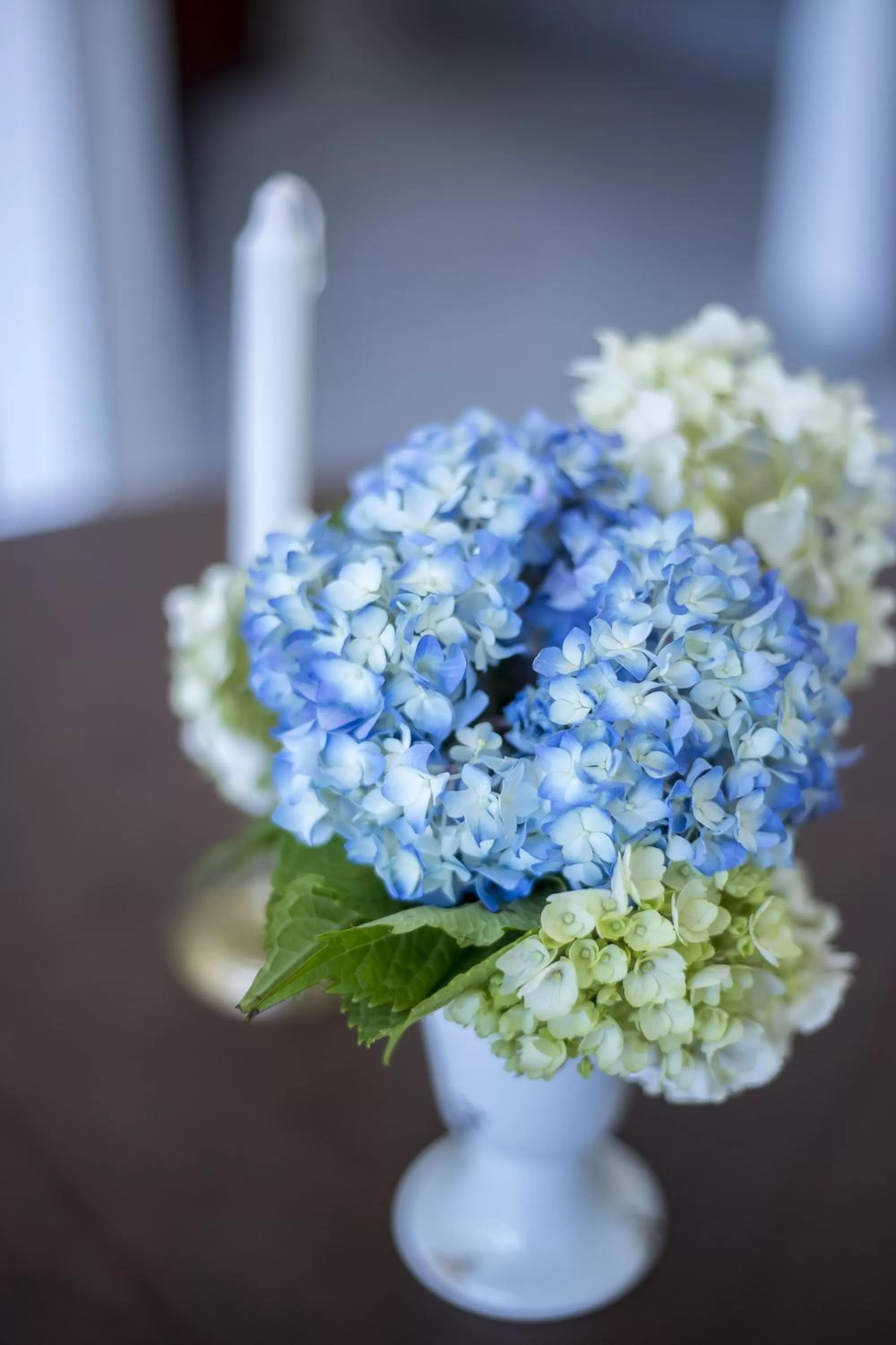 Decorative detail in Hotel N16