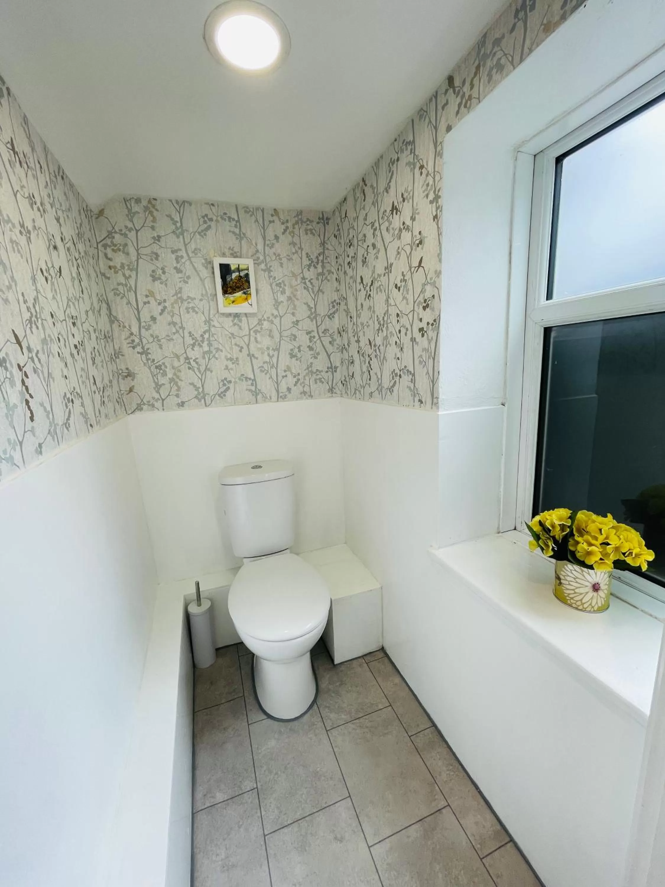 Albion Boutique Guest House