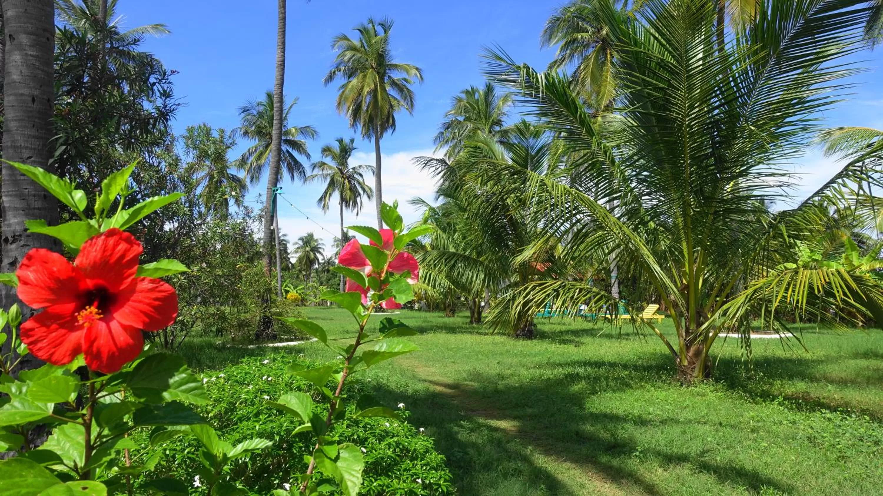 Garden in Regina Beach Bungalow