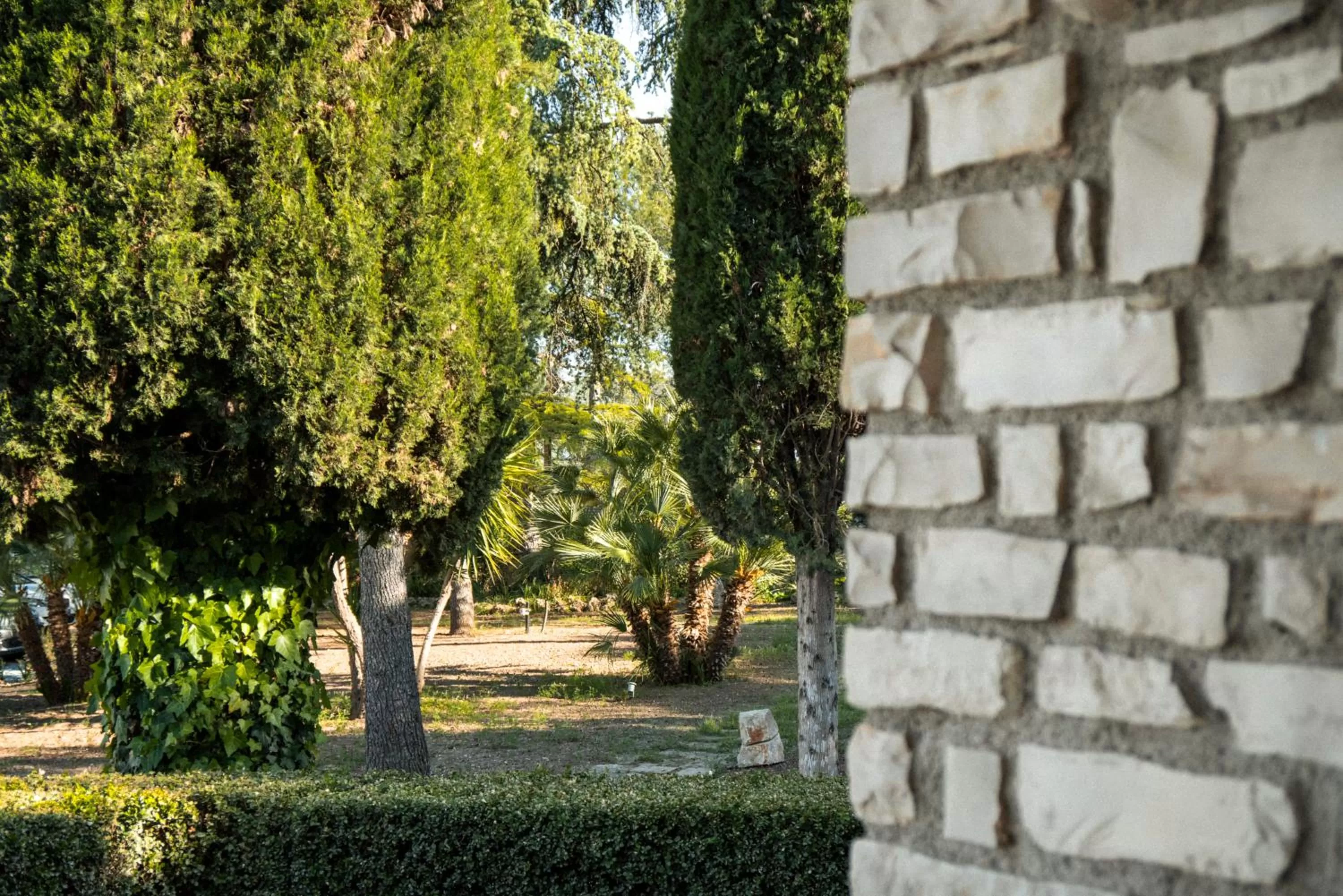 Garden in Otto Apulia House