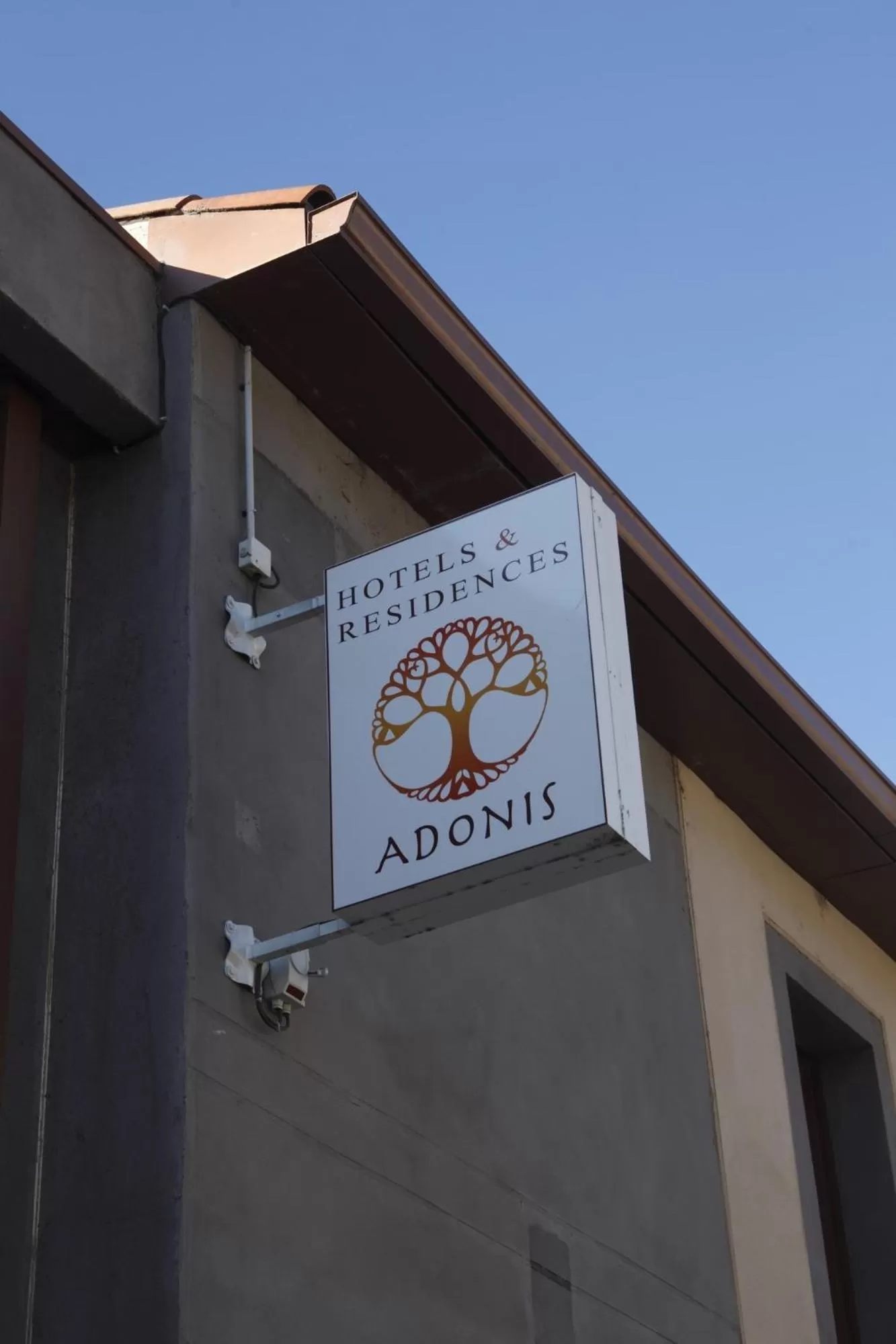 Property building in Adonis Carcassonne