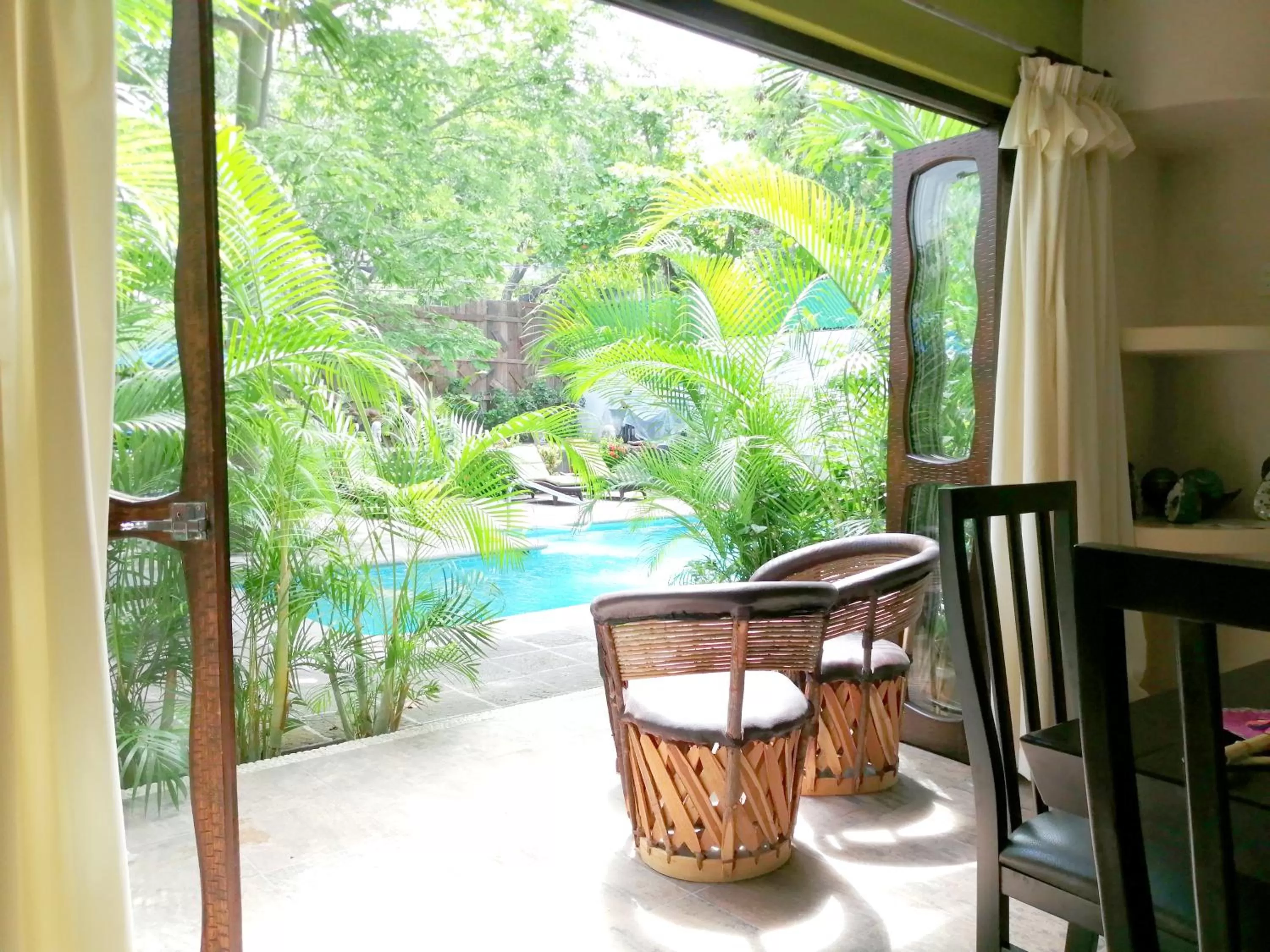 Garden view in Ceiba Studios