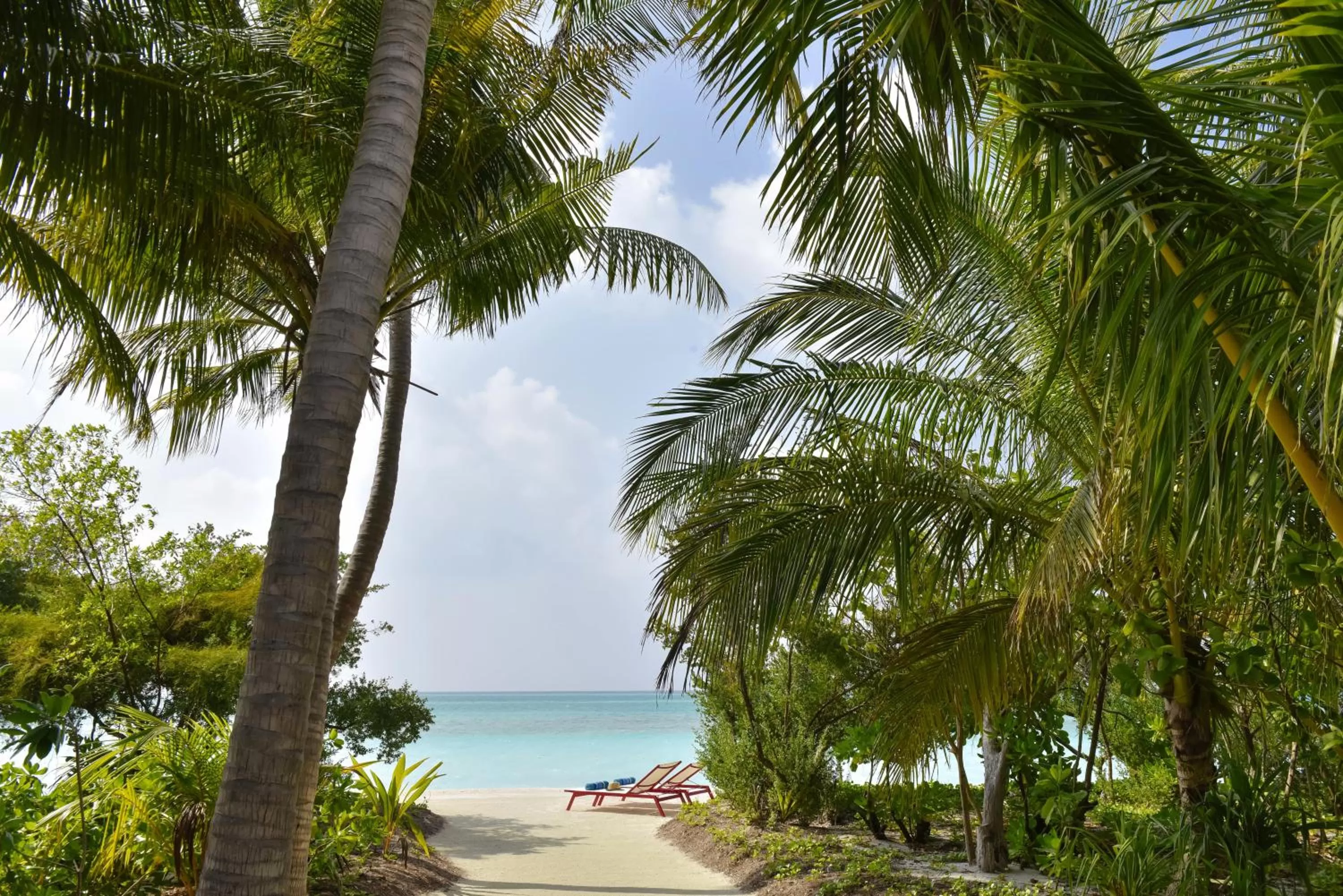 Beach in Kandima Maldives - 50 Percent Off Return Domestic Flights for stays of 4 nights or more between 11th April 2026 to 31st October 2026