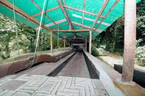 Pousada A Marca do Faraó