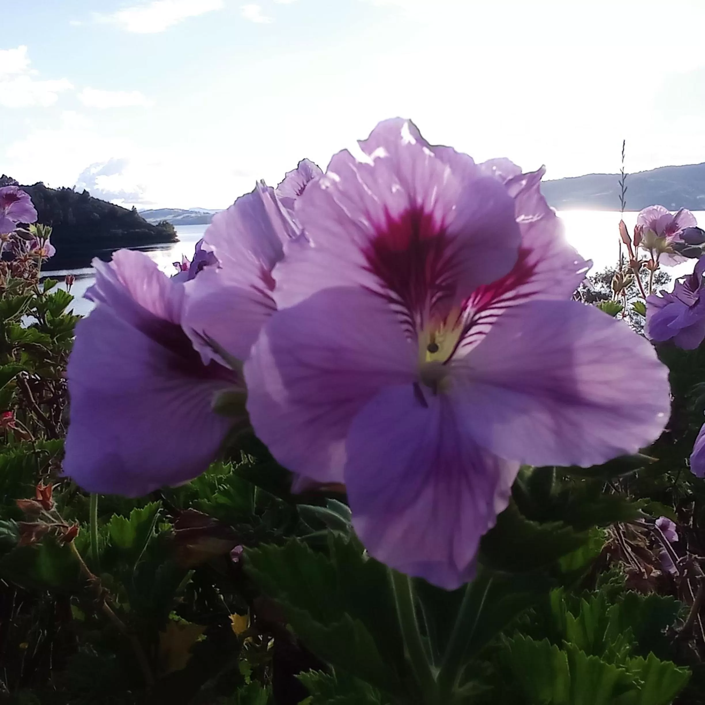 Hotel Refugio Pozo Azul