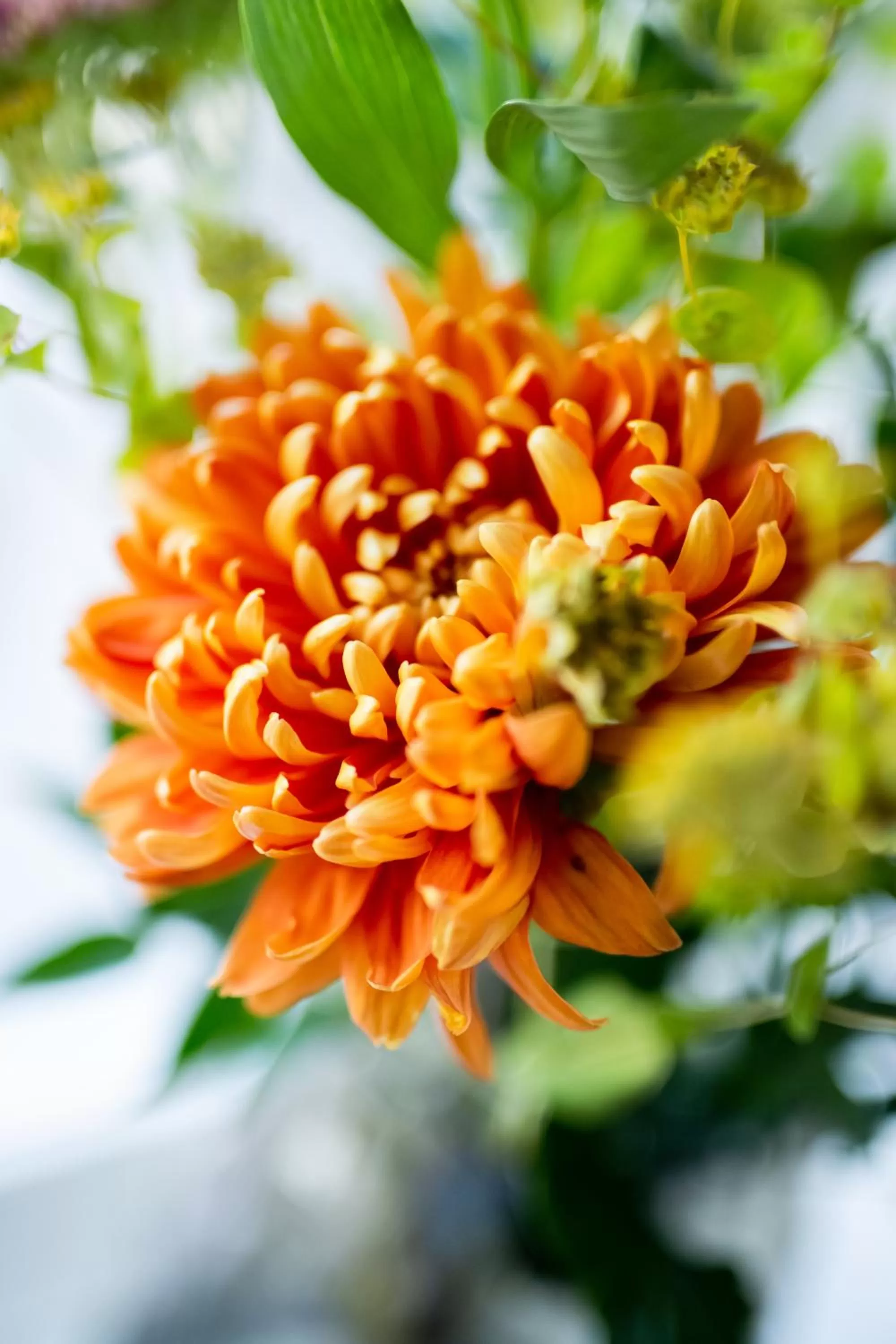 Decorative detail in Home Hotel Cardinal