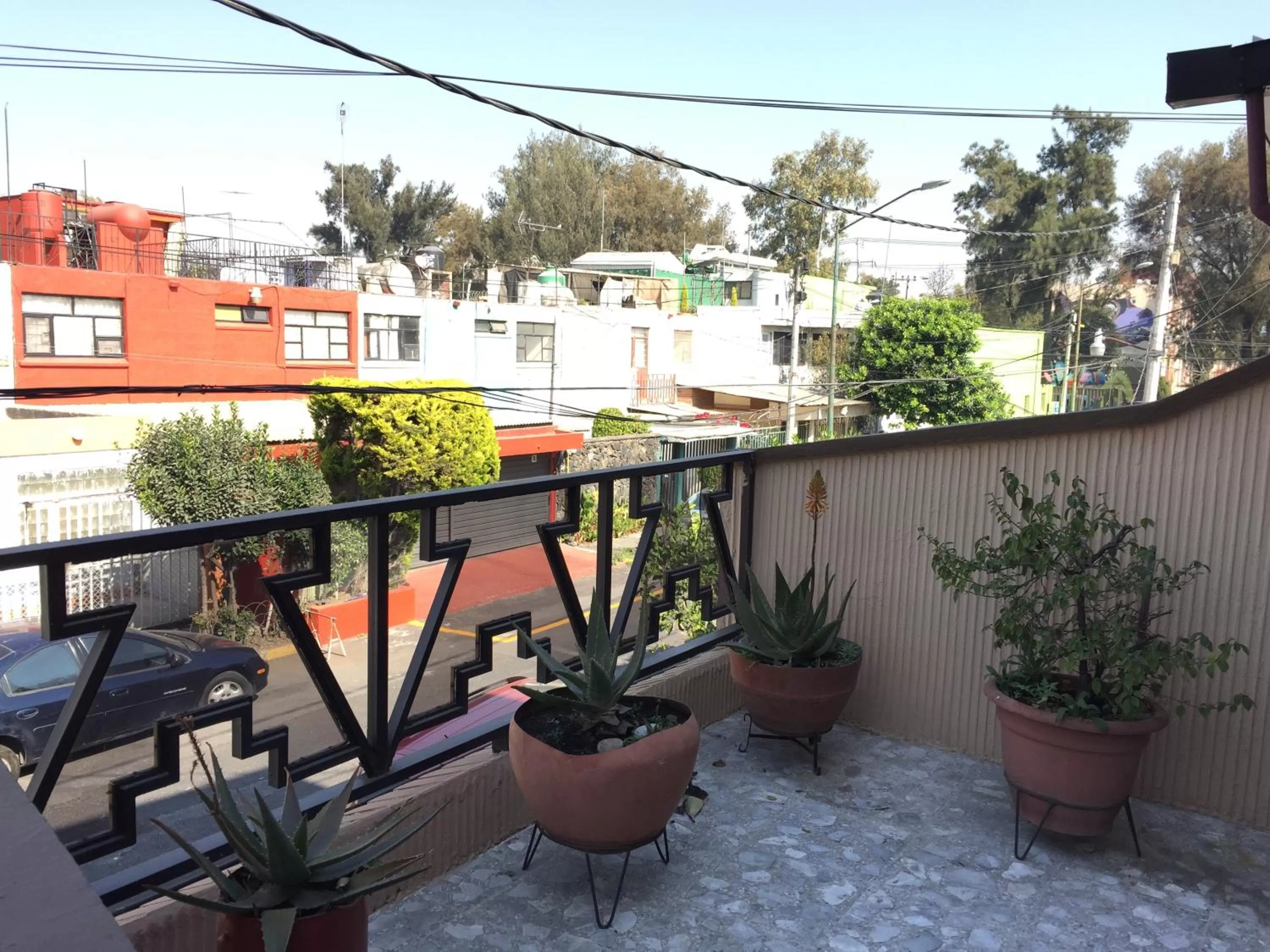 Garden in Casa Q BnB