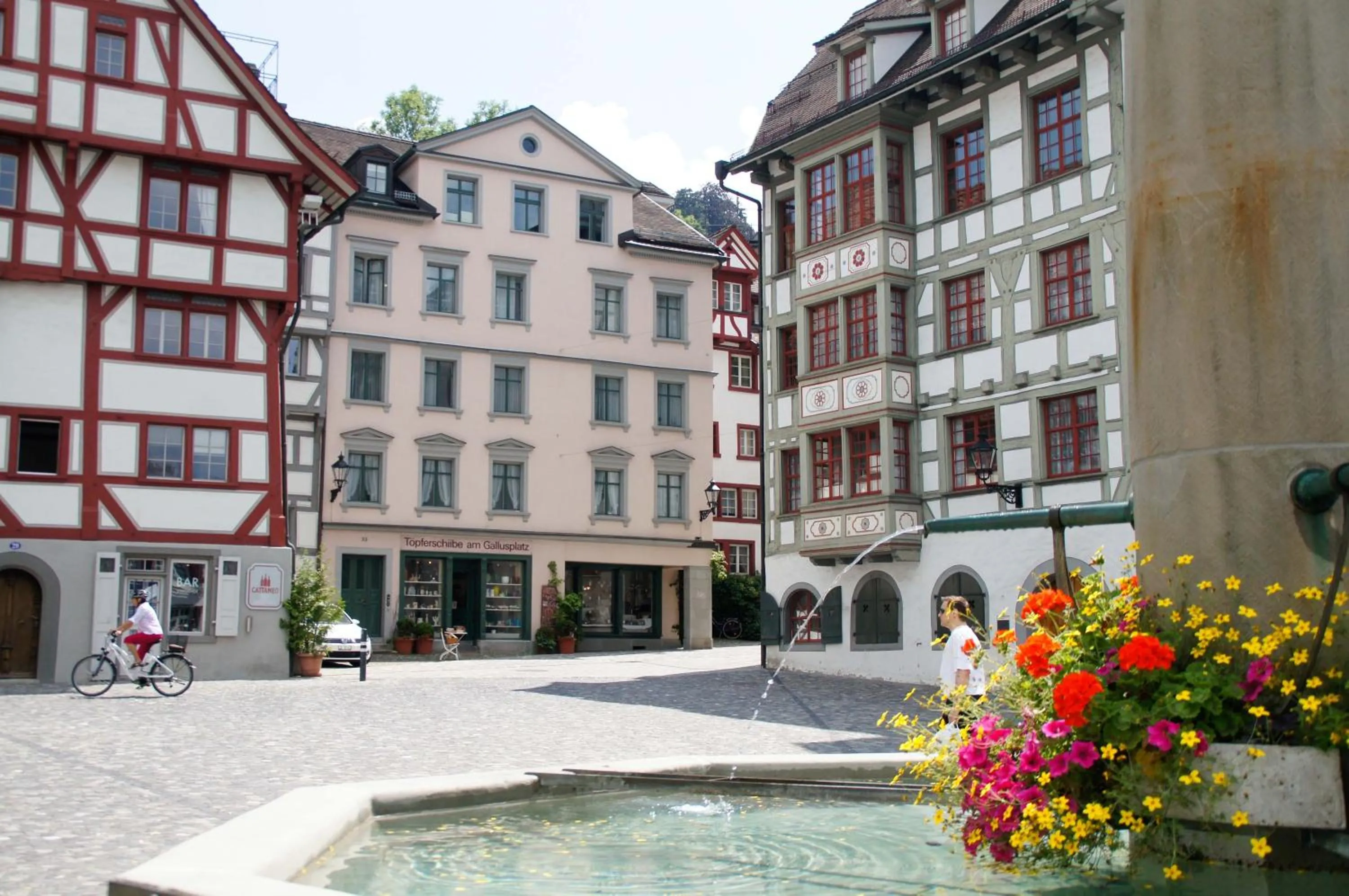 Area and facilities in Hotel Vadian Garni