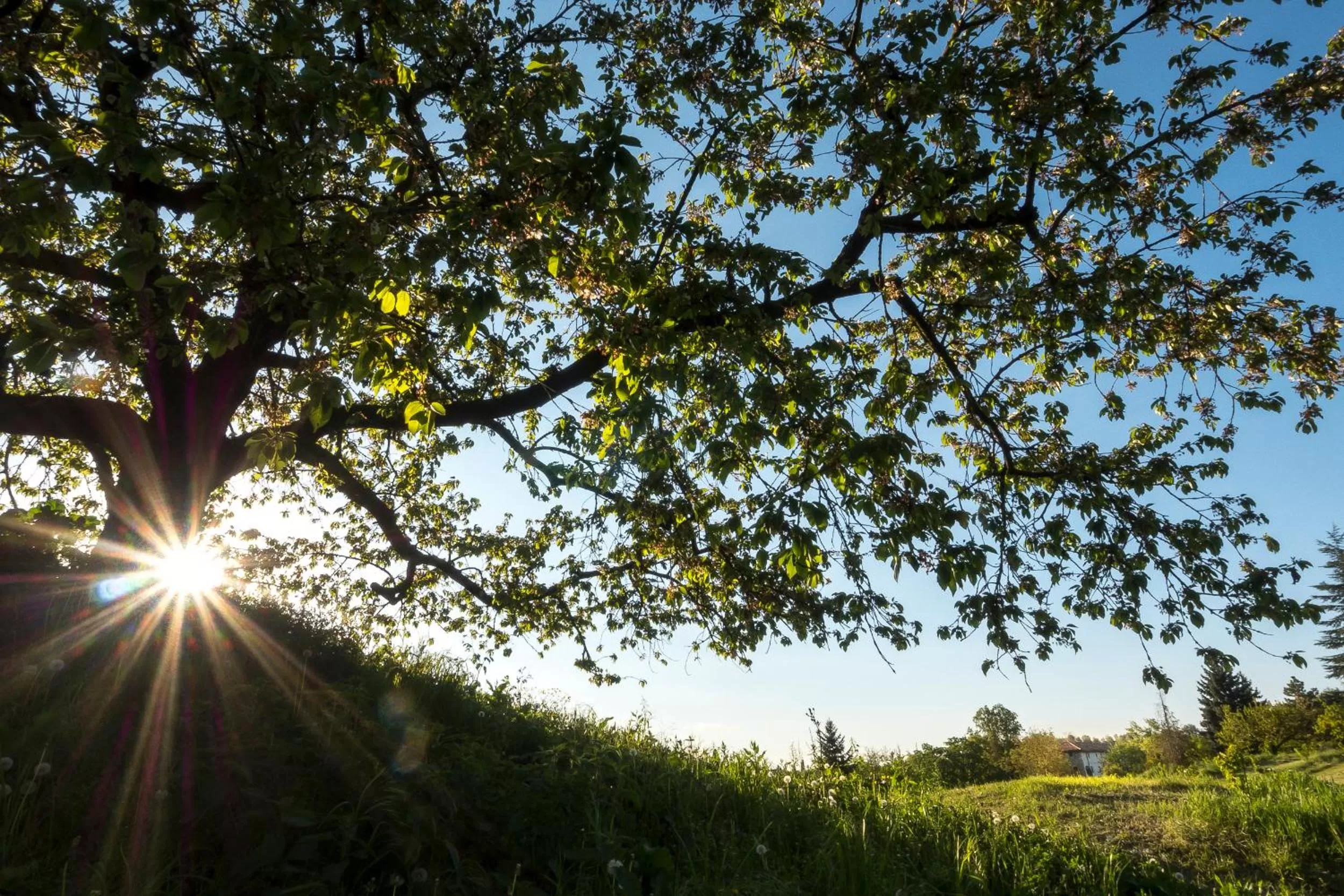 Property building in Sotto I Sassi