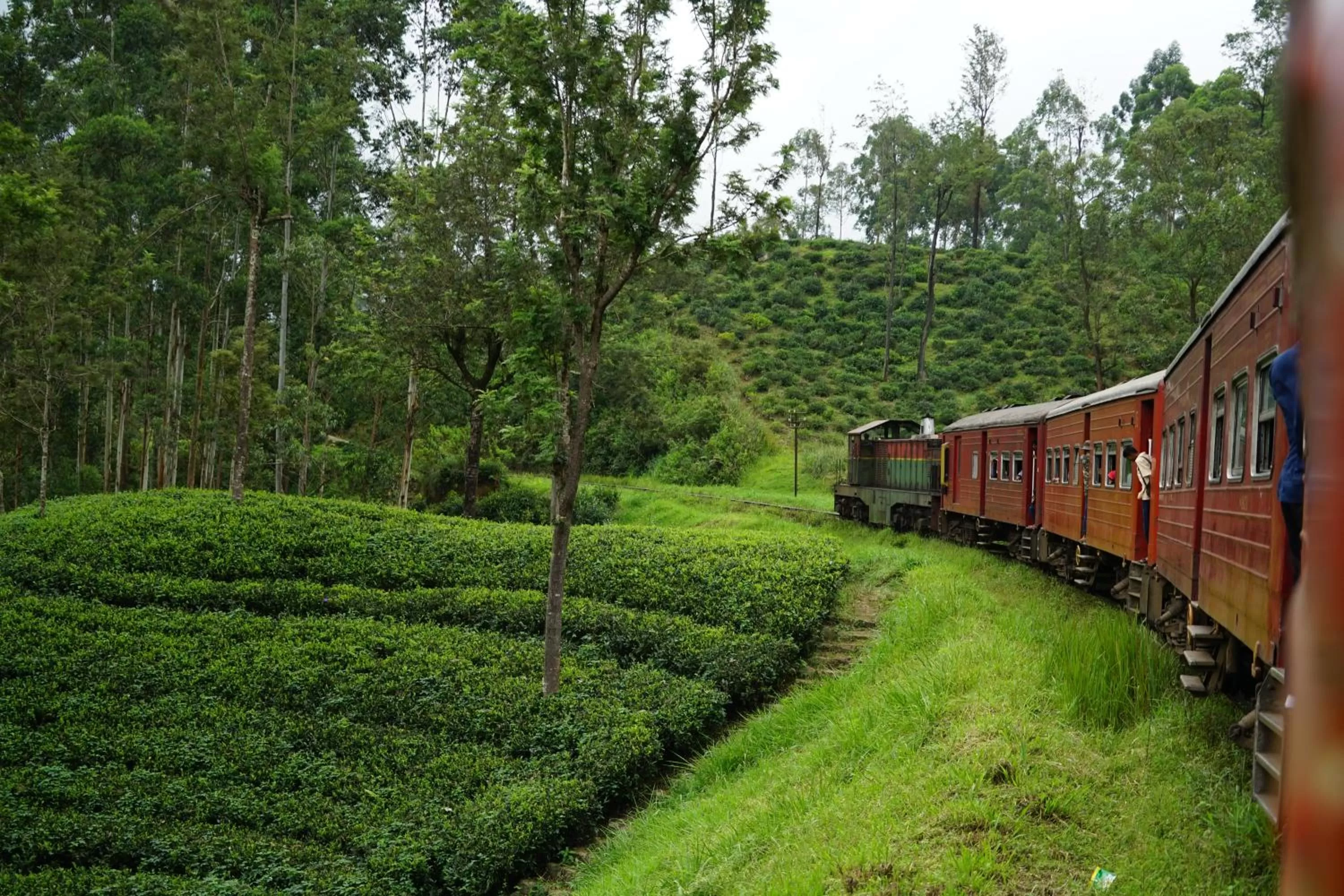 Natural landscape in The Grand Hotel - Heritage Grand