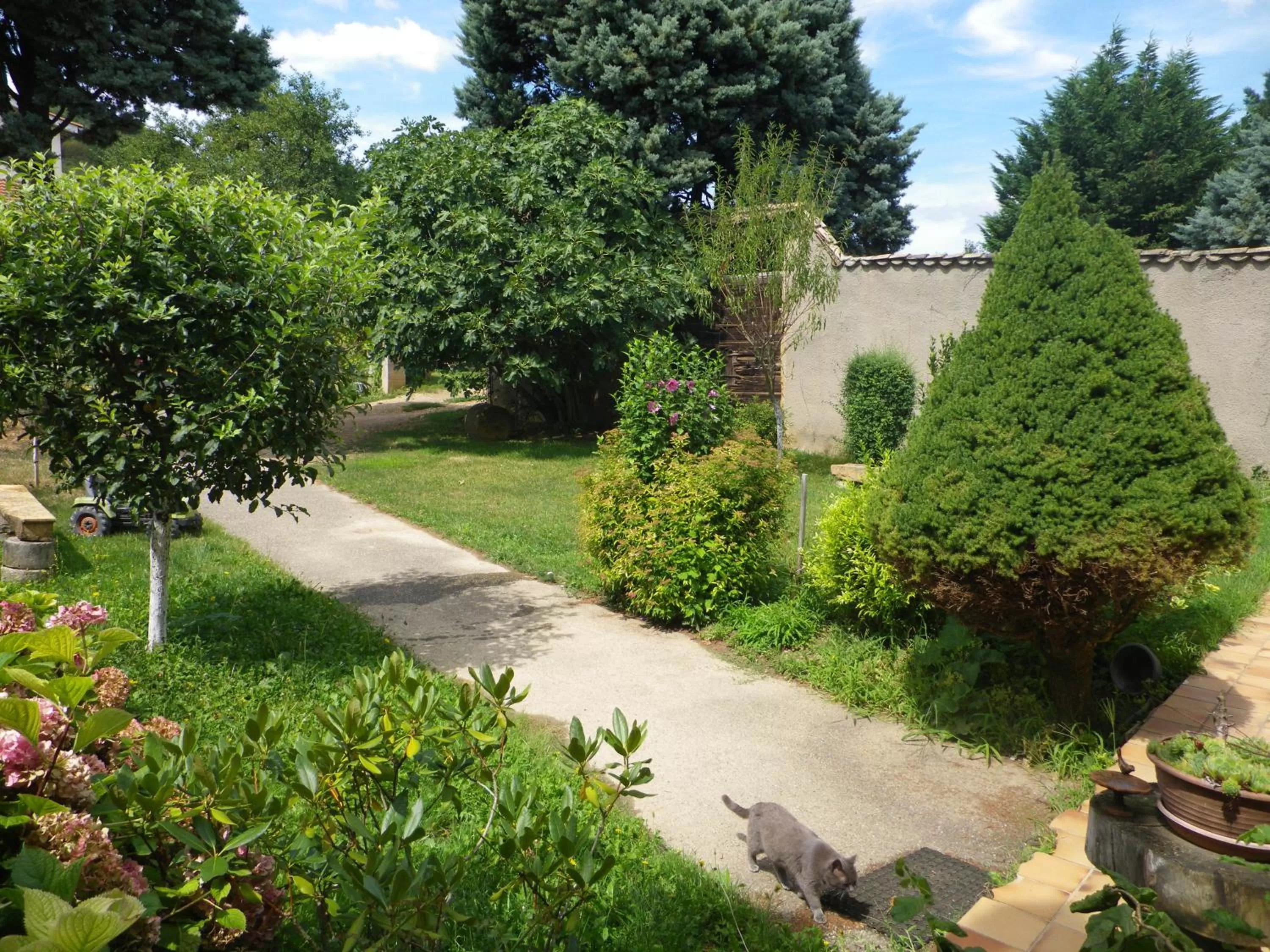Garden in Chambres d'Hôtes Mado et Lulu