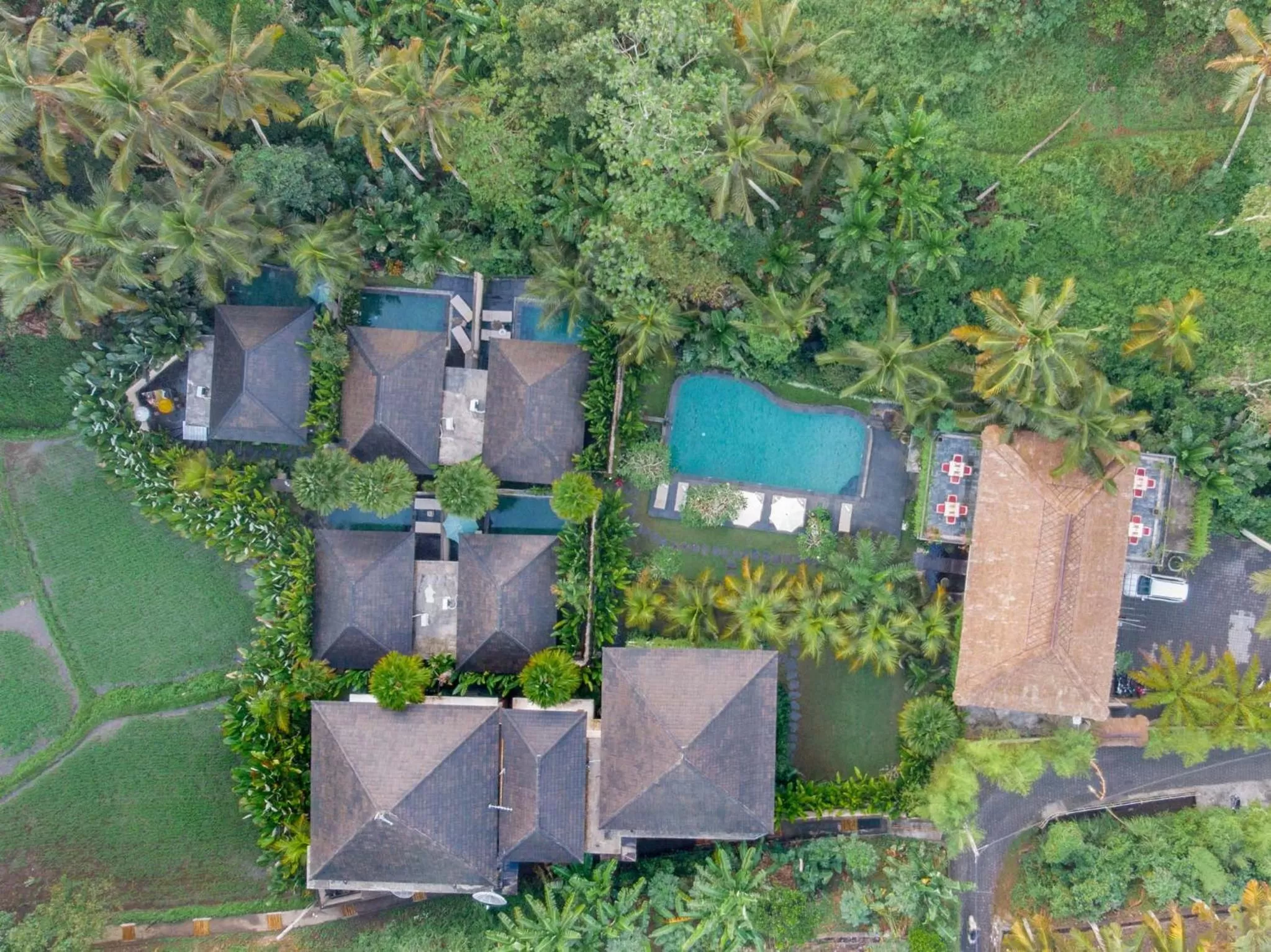Area and facilities in The Kalyana Ubud Resort