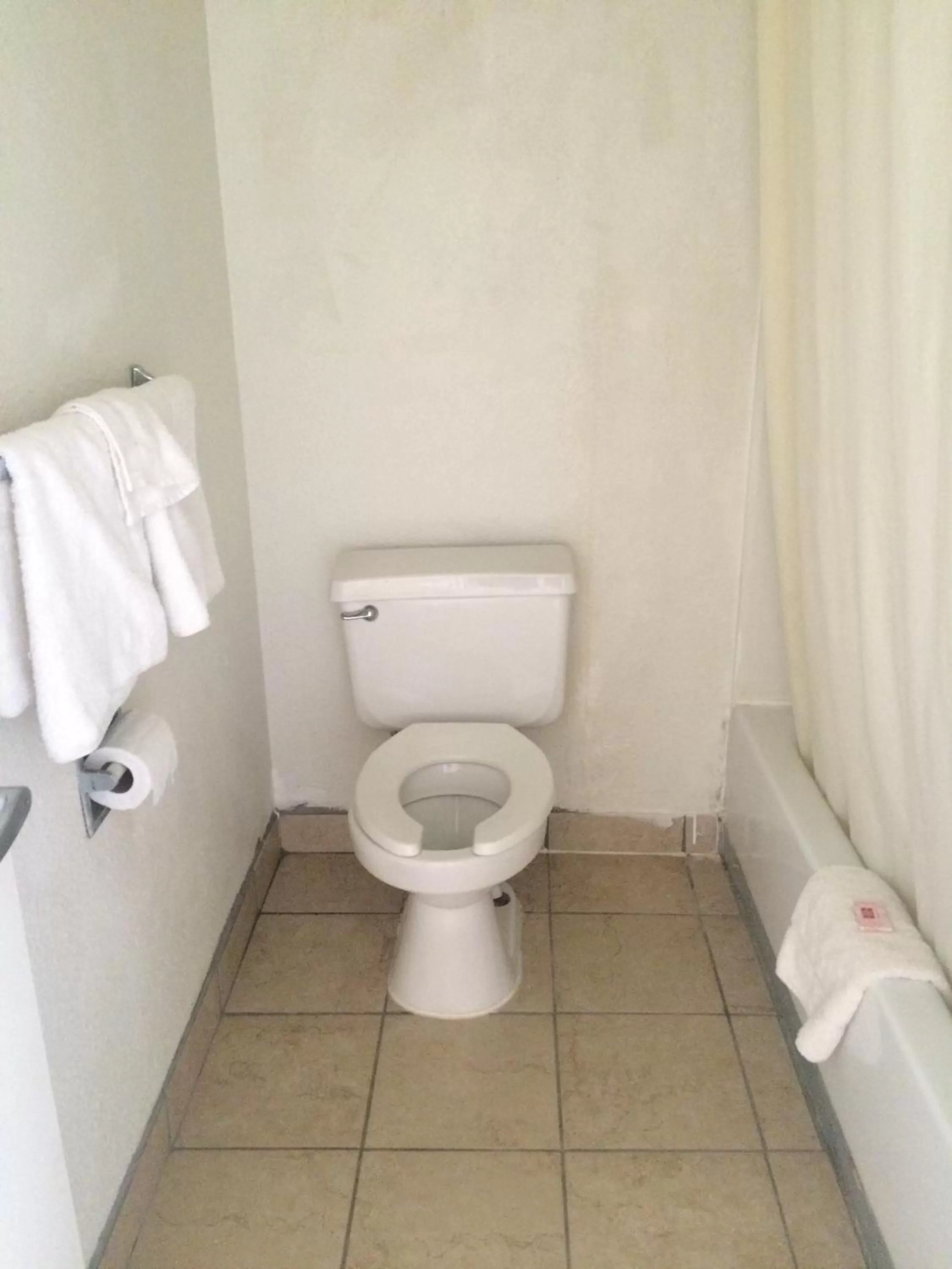 Toilet in Carpet Inn