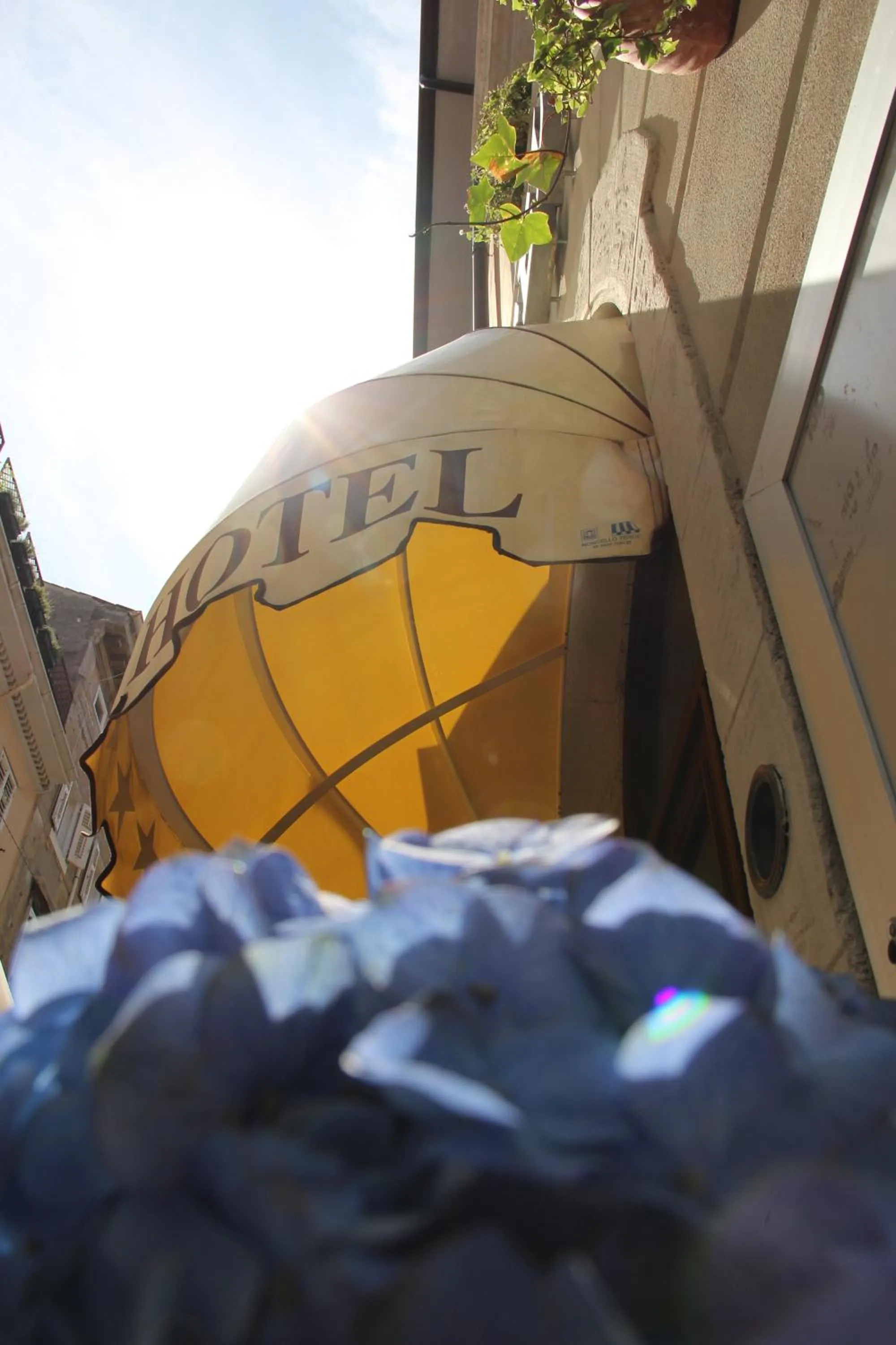 Facade/entrance in Albergo Al Viale