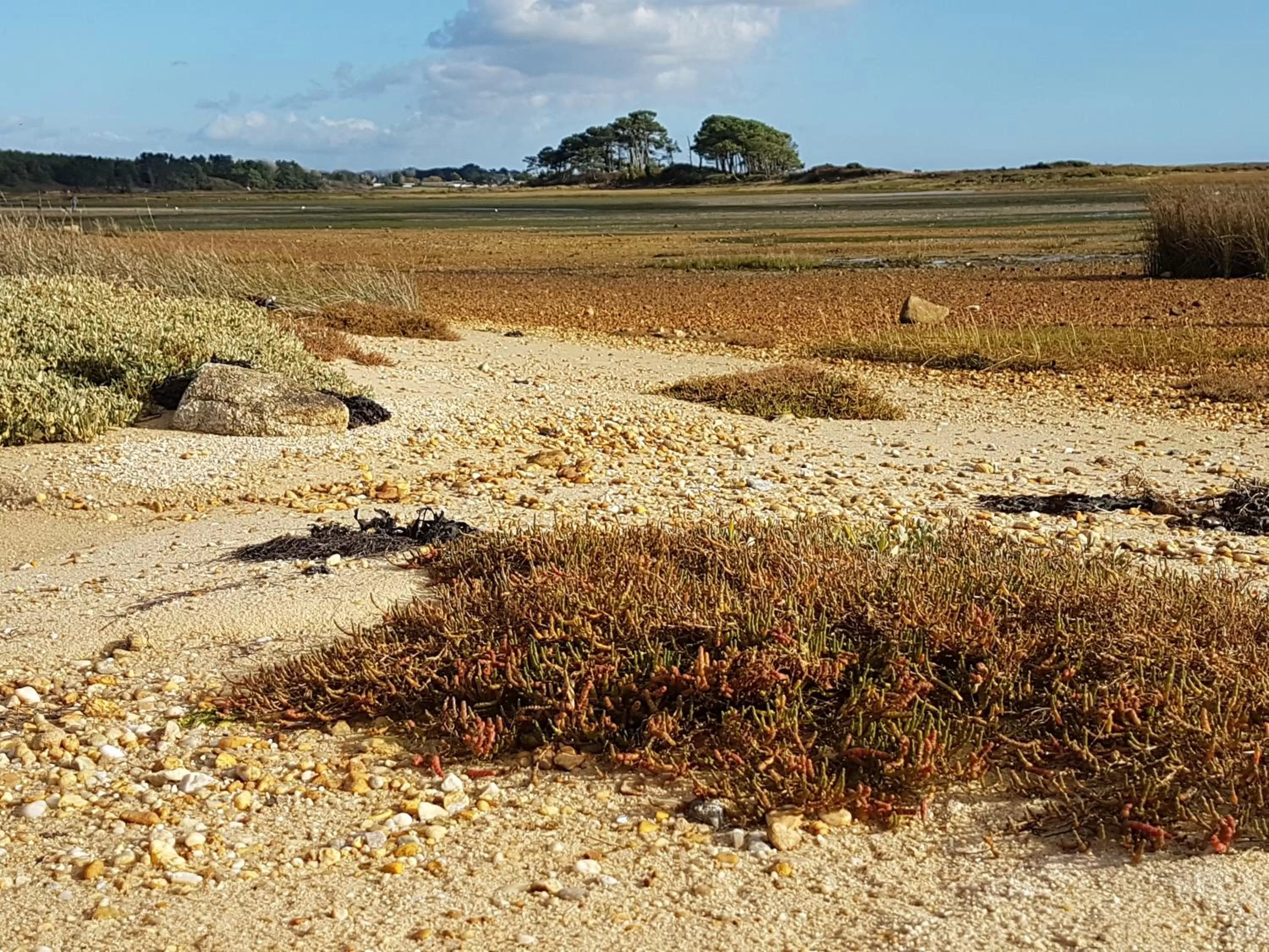 Sports in Hôtel Spa De La Citadelle Lorient