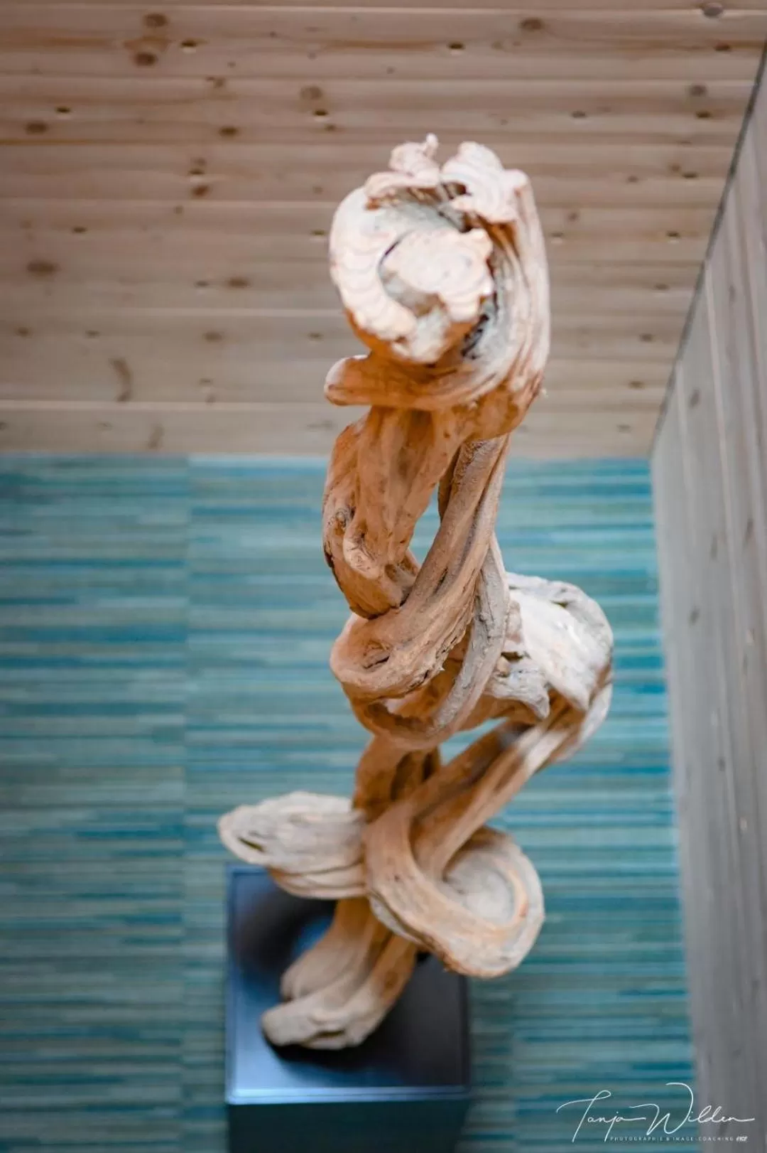 Decorative detail in Sleepwood Hotel