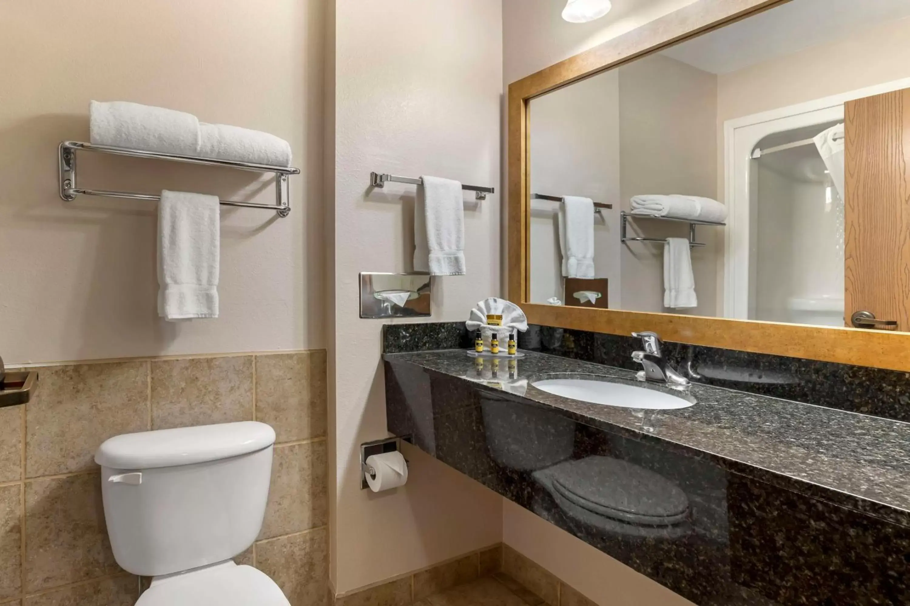 Executive King Room with Spa Bath Exterior Access in Best Western Plus Country Inn & Suites Executive King Room with Spa Bath Exterior Access in Best Western Plus Country Inn & Suites