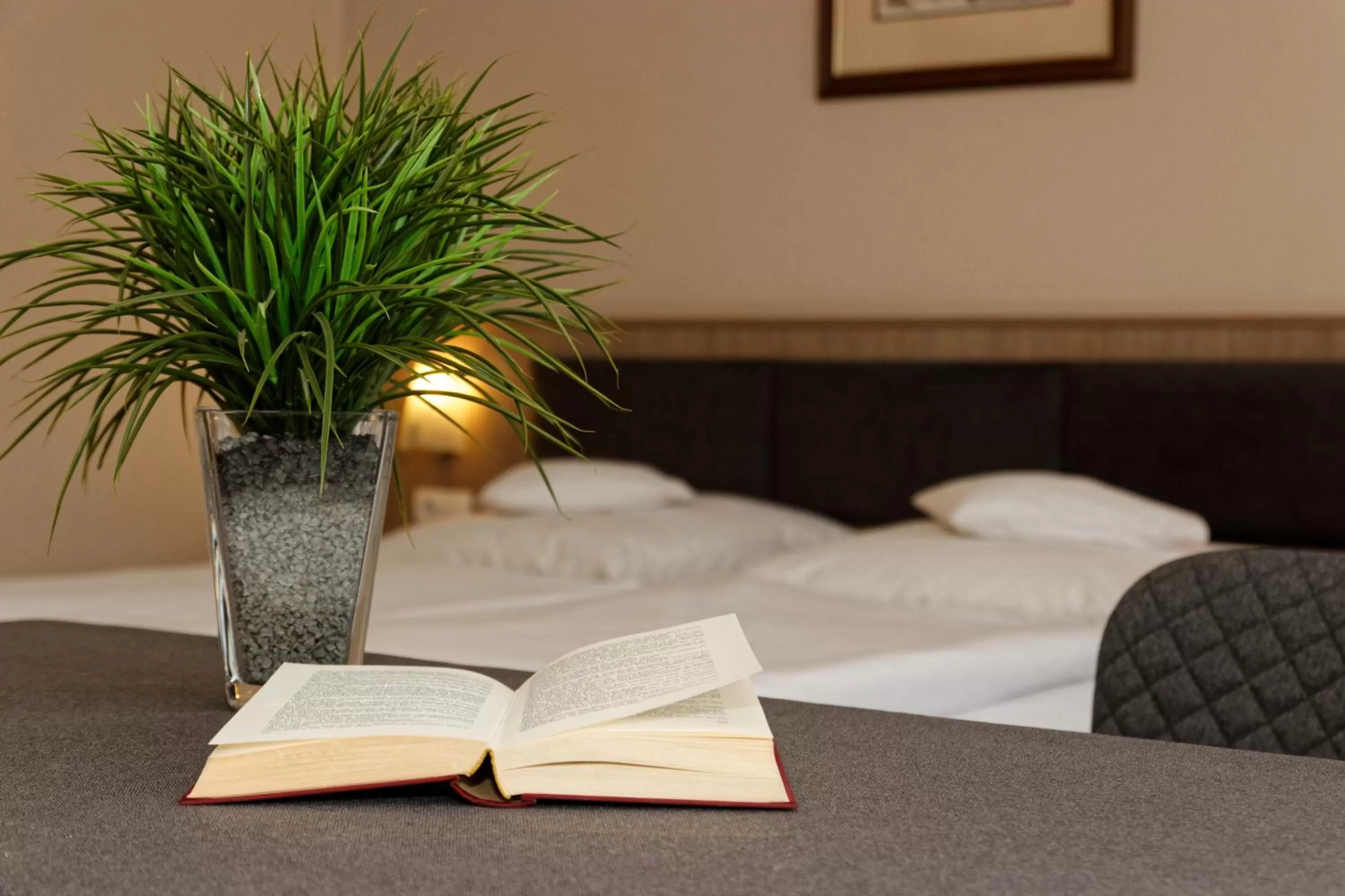 Bed in Kurpension Freudenstein