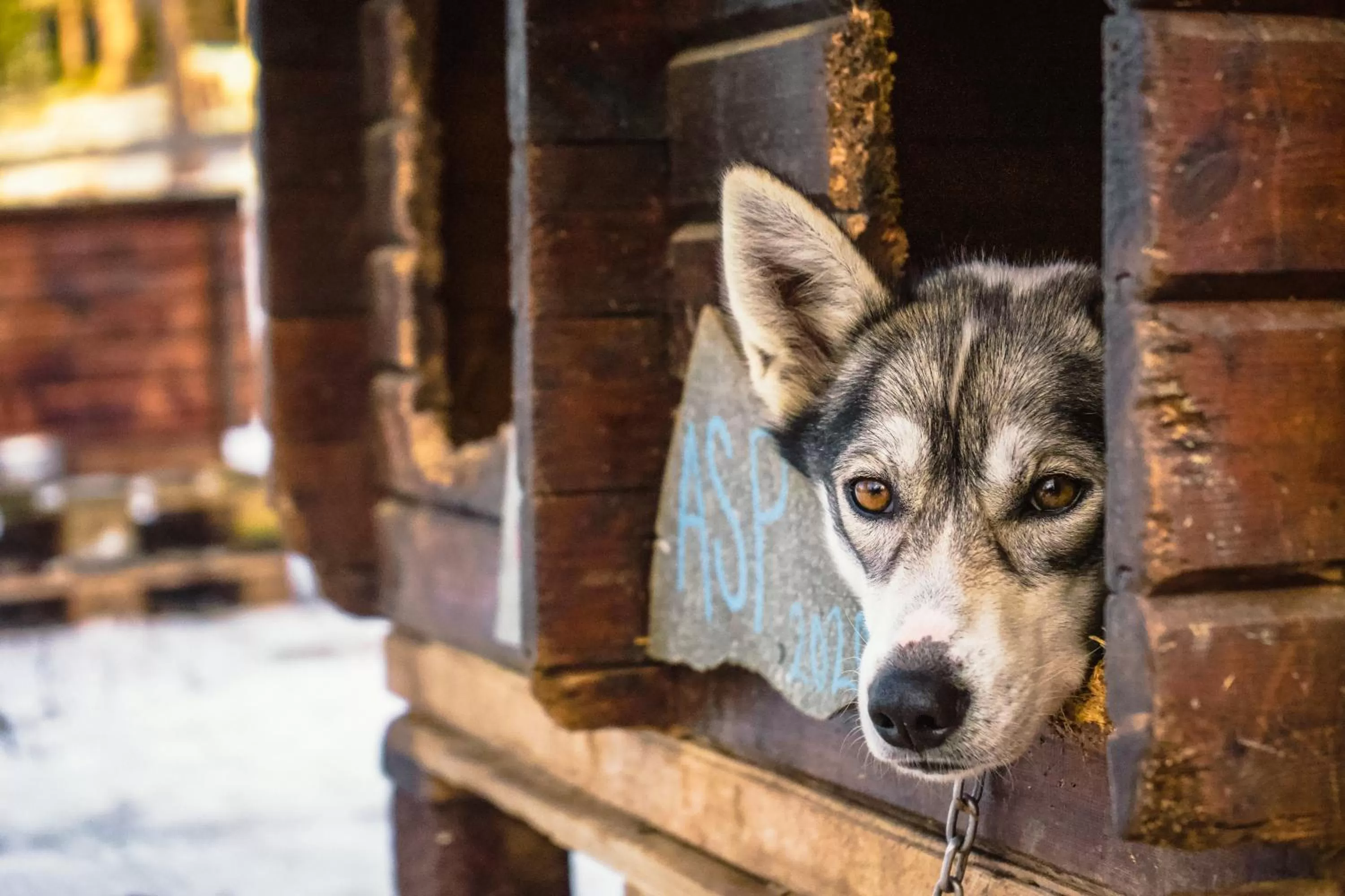 Activities in Sorrisniva Arctic Wilderness Lodge