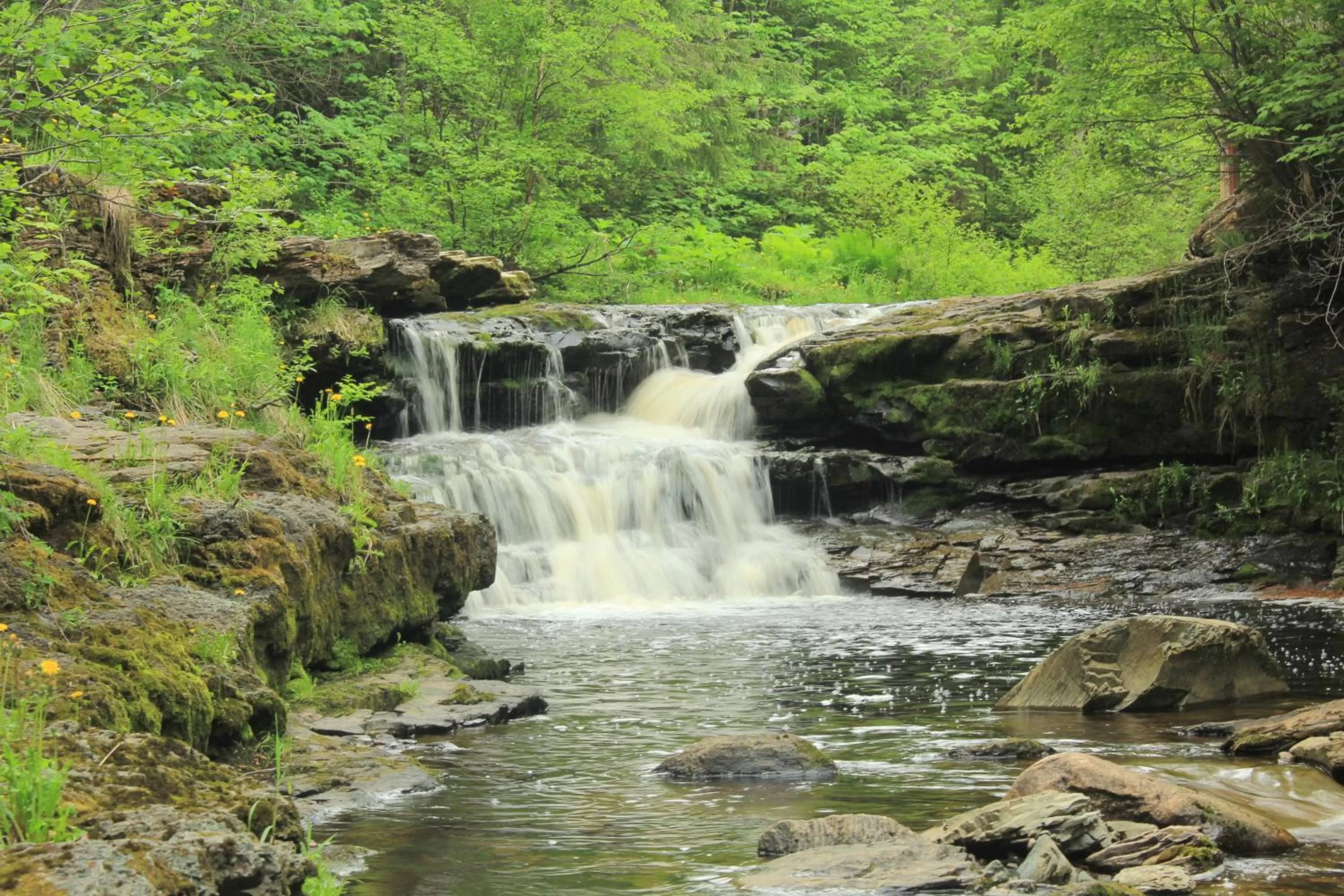 Natural landscape in Rocky Brook Acres
