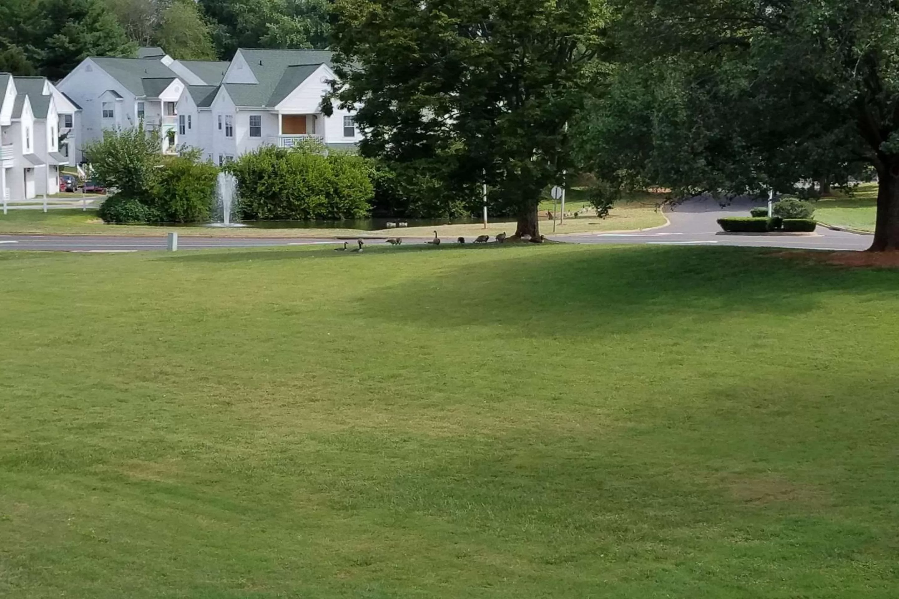 Other in Quality Inn Culpeper