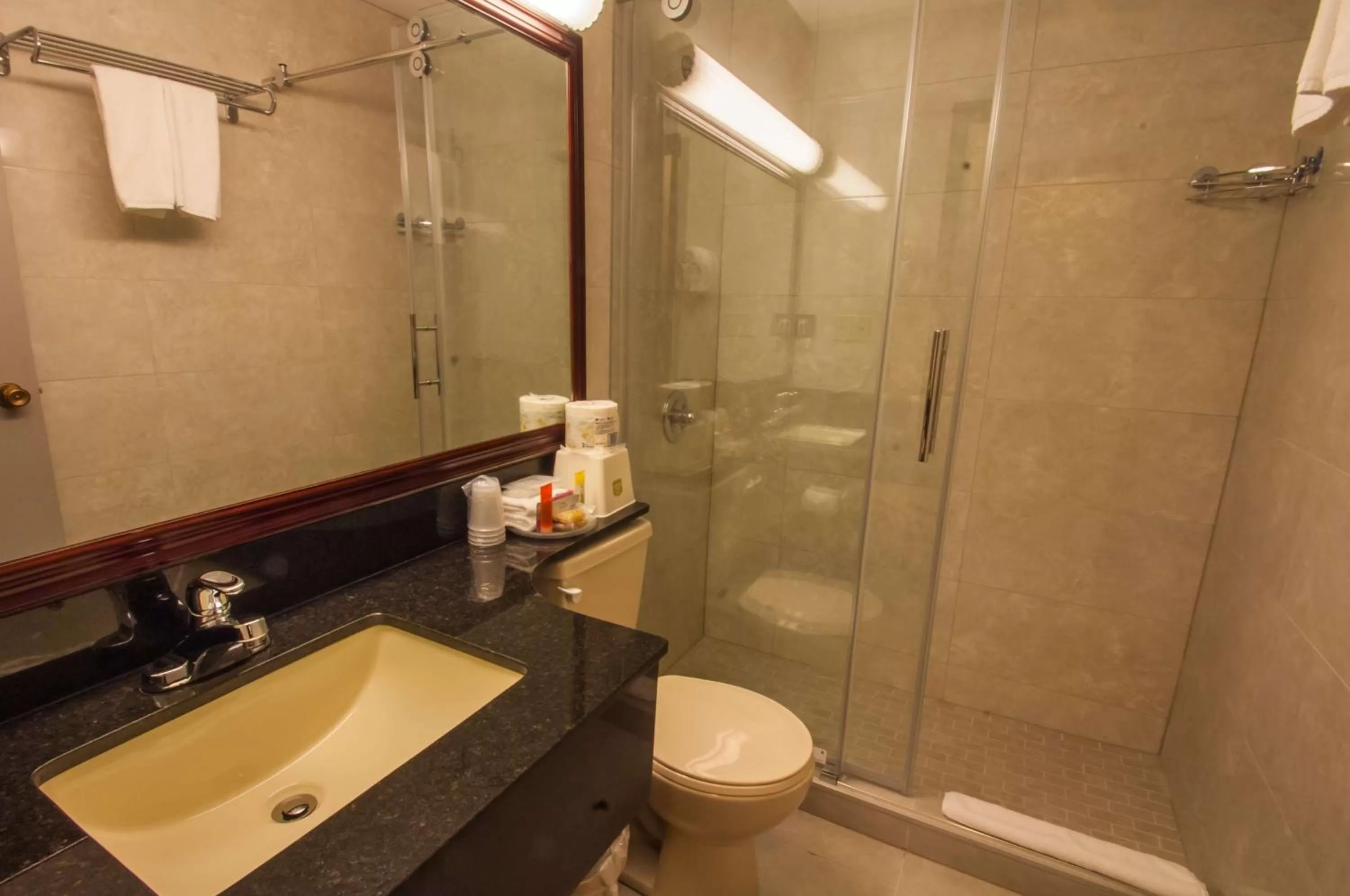 Bathroom in Best Western Airport Inn
