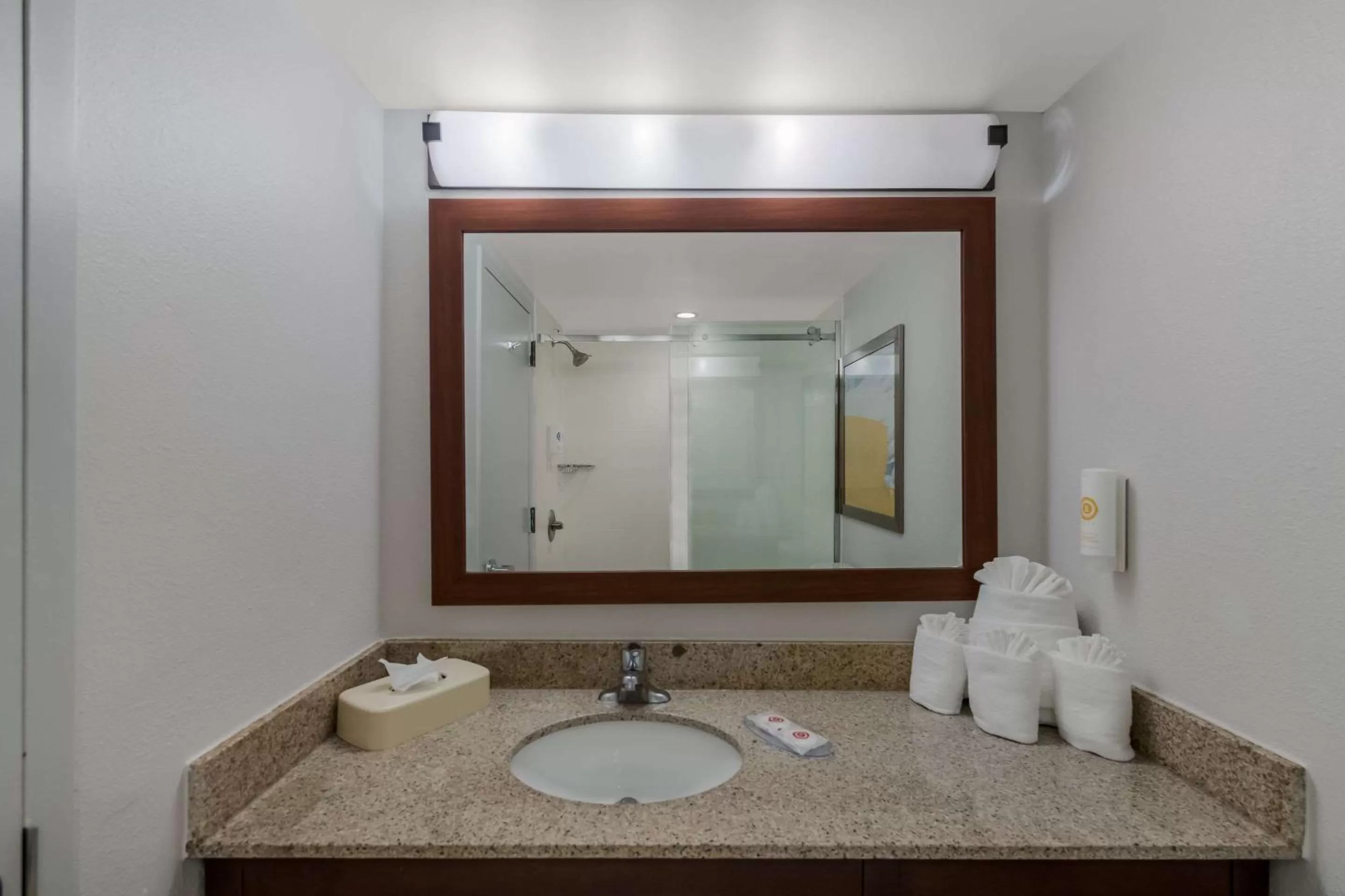 Bedroom in Comfort Inn Newport News - Hampton I-64