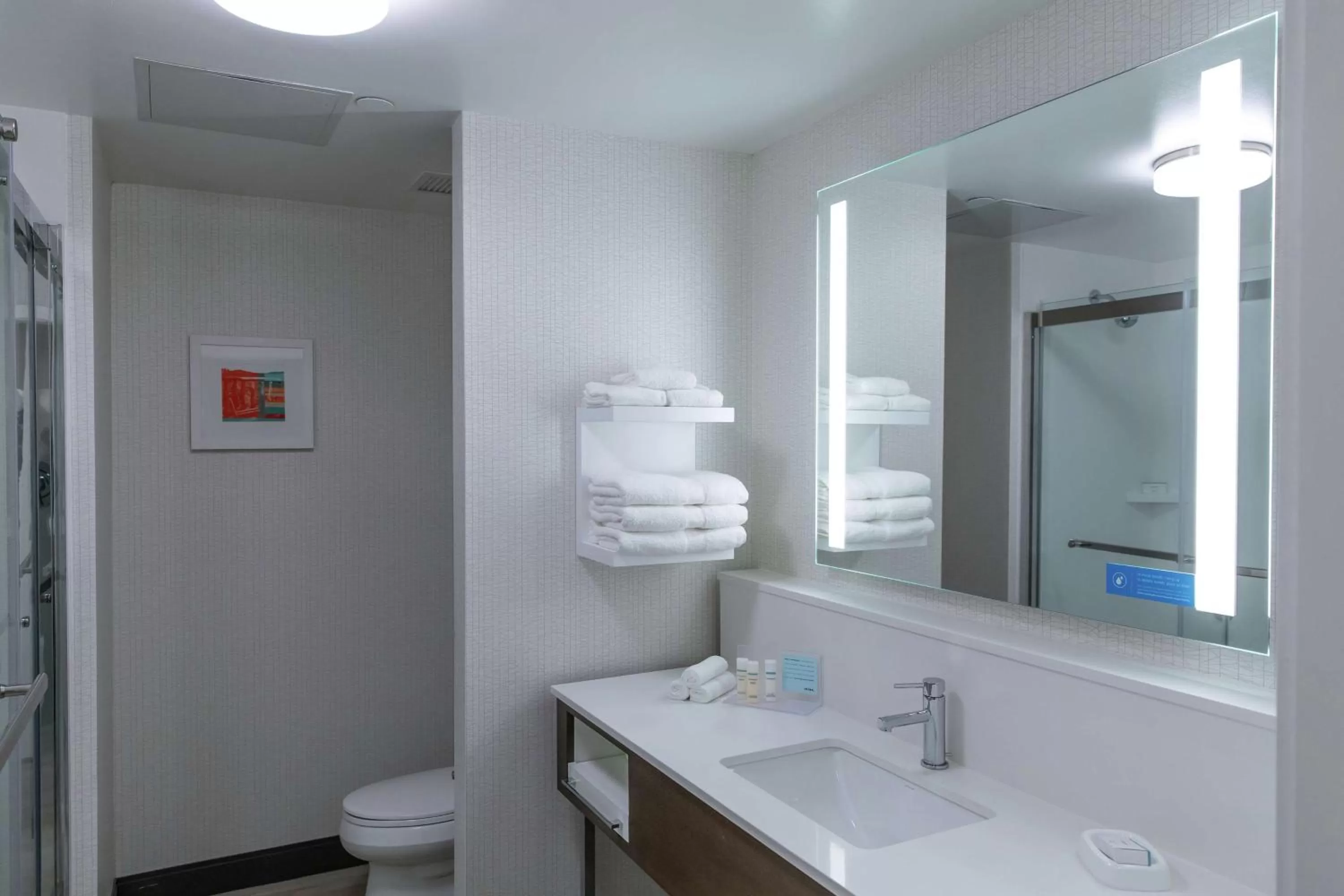 Bathroom in Hampton Inn Black Mountain