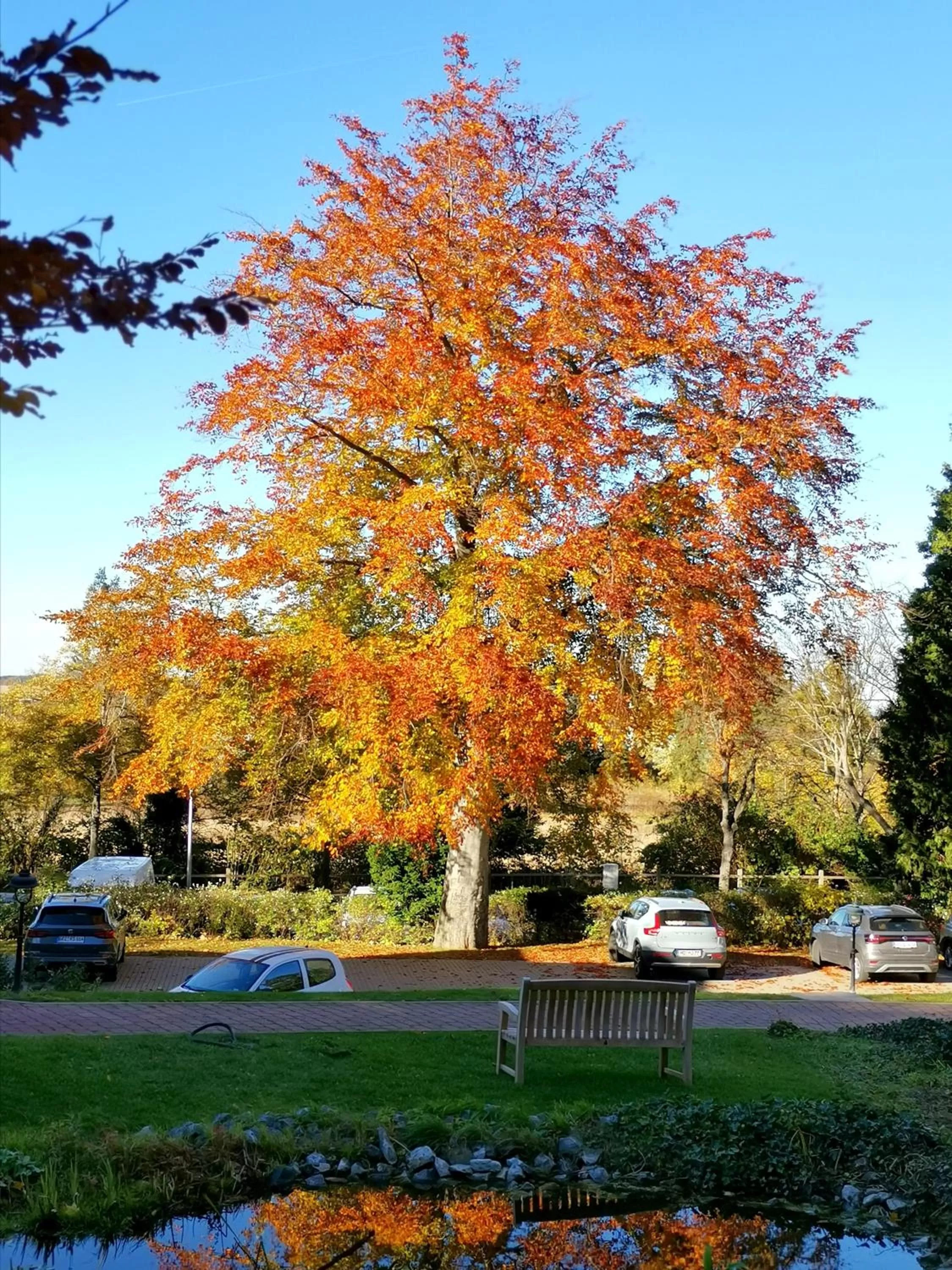 View (from property/room) in Hotel Erbprinzenpalais